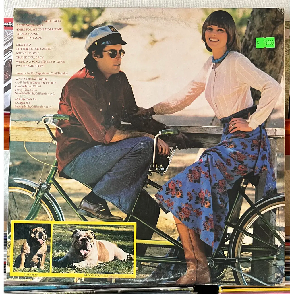 CAPTAIN & TENNILLE Song of Joy