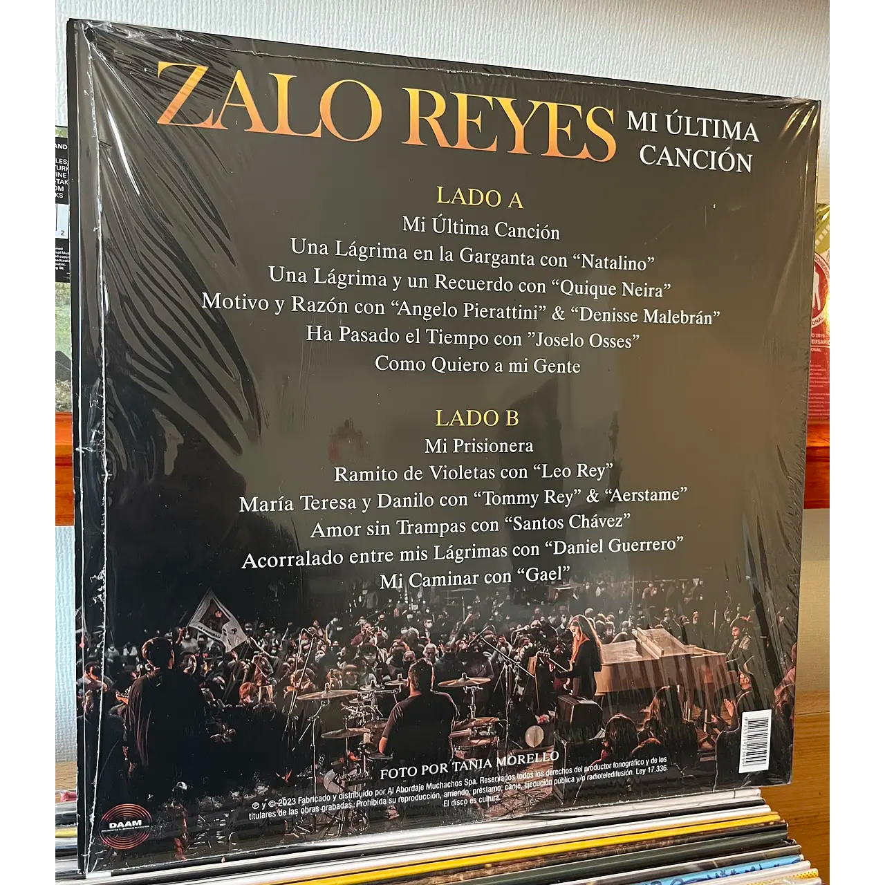 ZALO REYES Mi última canción