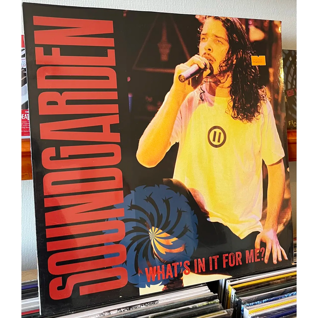 SOUNDGARDEN What's in it for me?