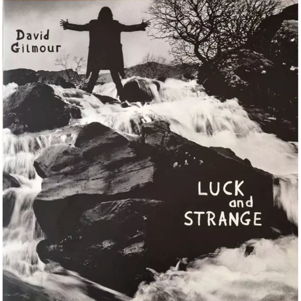 DAVID GILMOUR LUCK and STRANGE