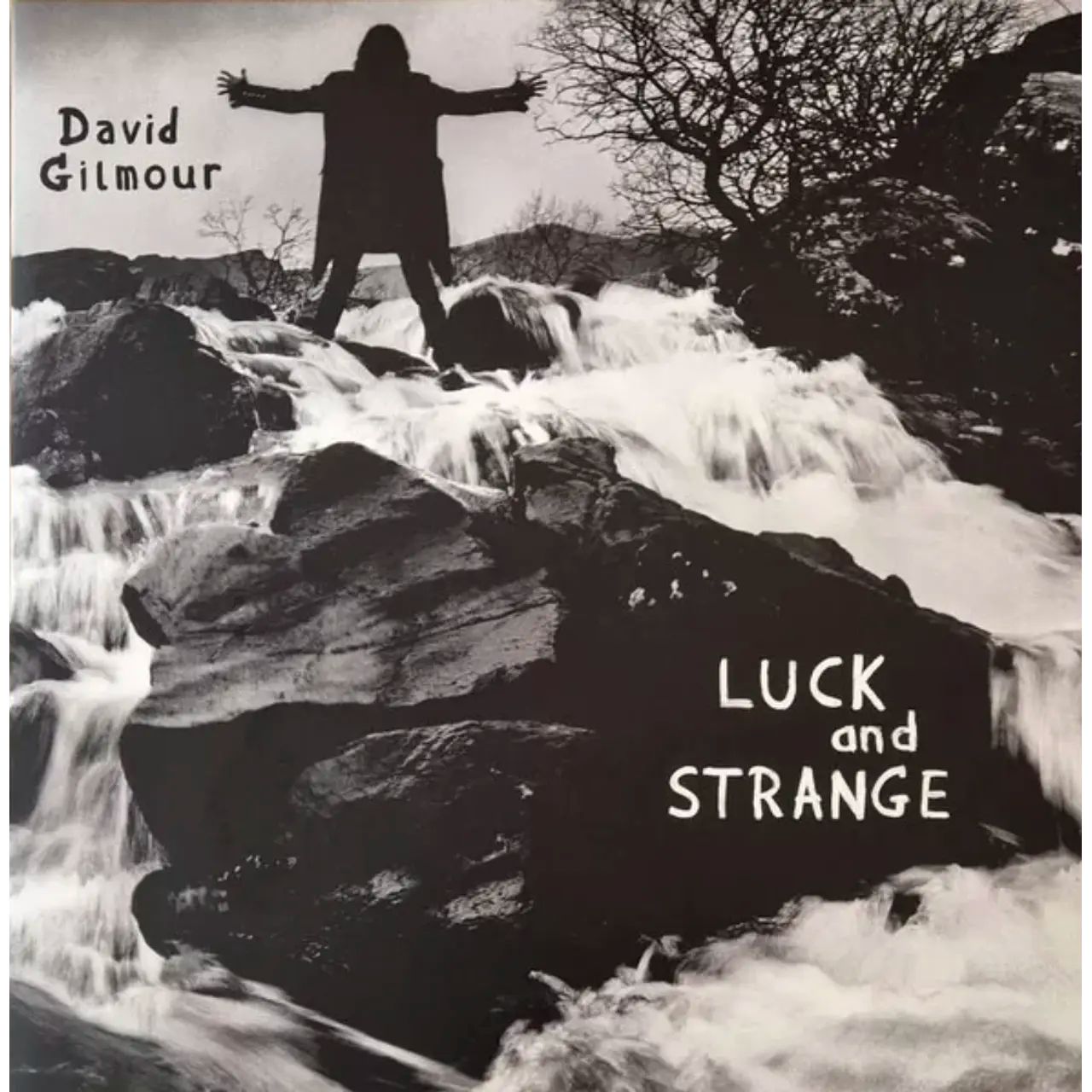 DAVID GILMOUR LUCK and STRANGE