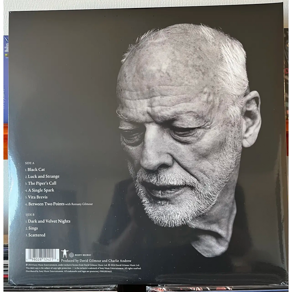 DAVID GILMOUR LUCK and STRANGE
