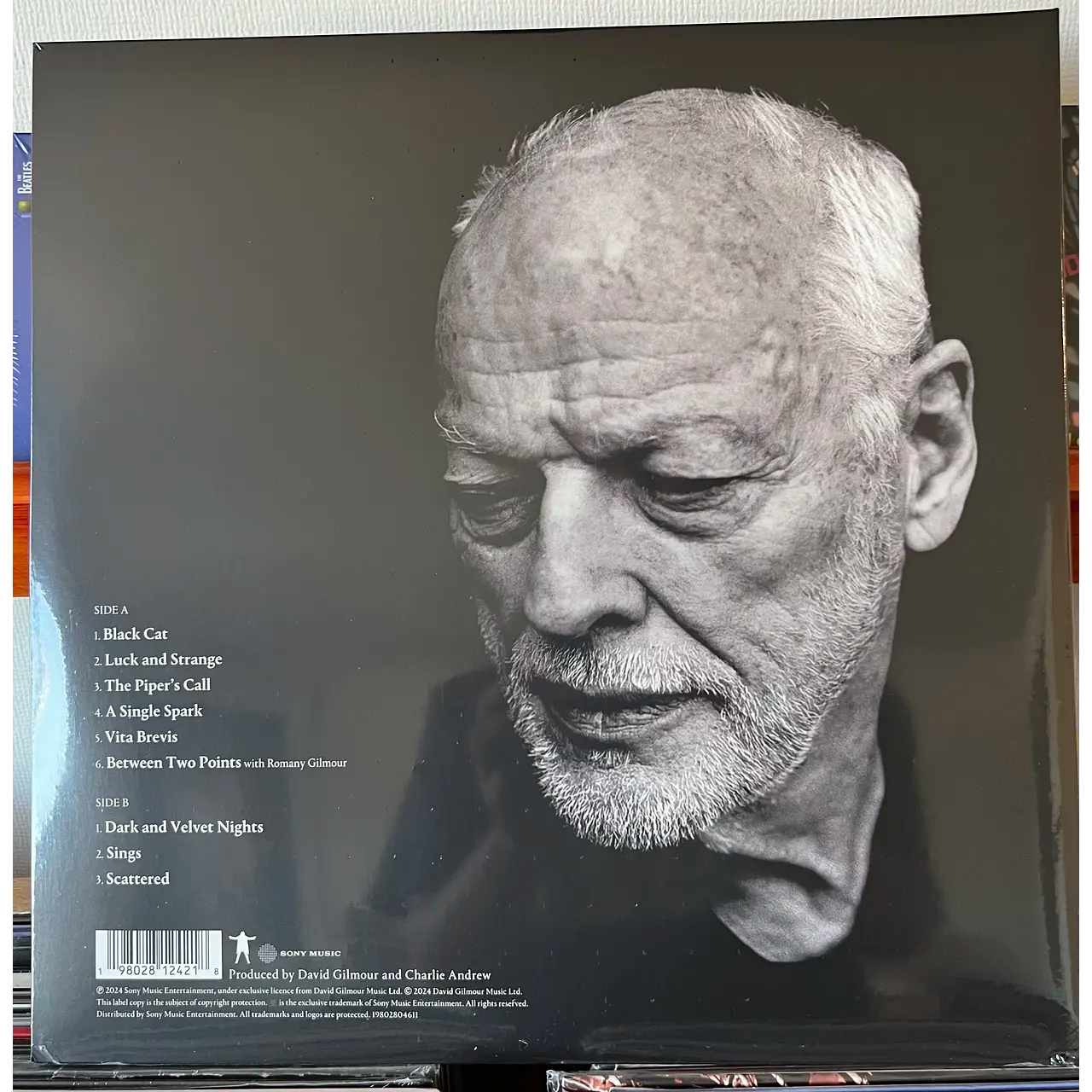 DAVID GILMOUR LUCK and STRANGE