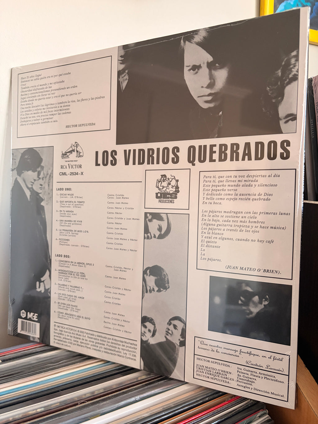 LOS VIDRIOS QUEBRADOS Fictions