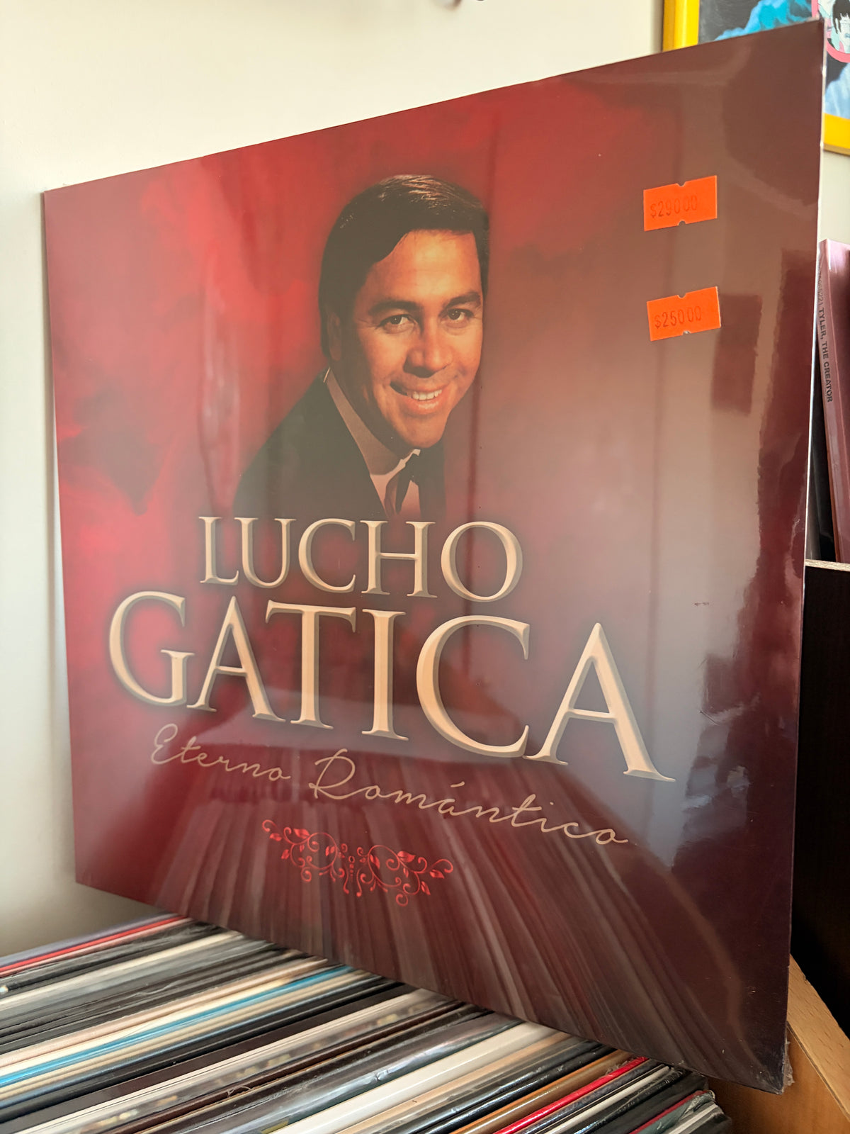 LUCHO GATICA Eterno Romantico