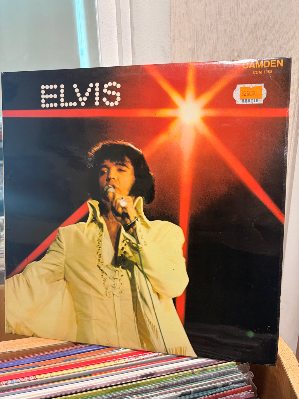 ELVIS You'll never walk alone