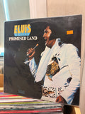ELVIS Pomised land