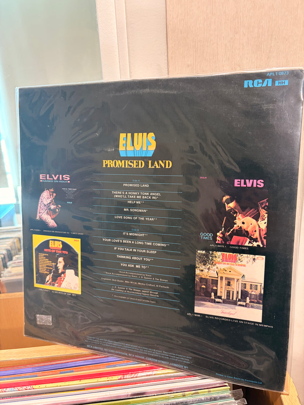 ELVIS Pomised land