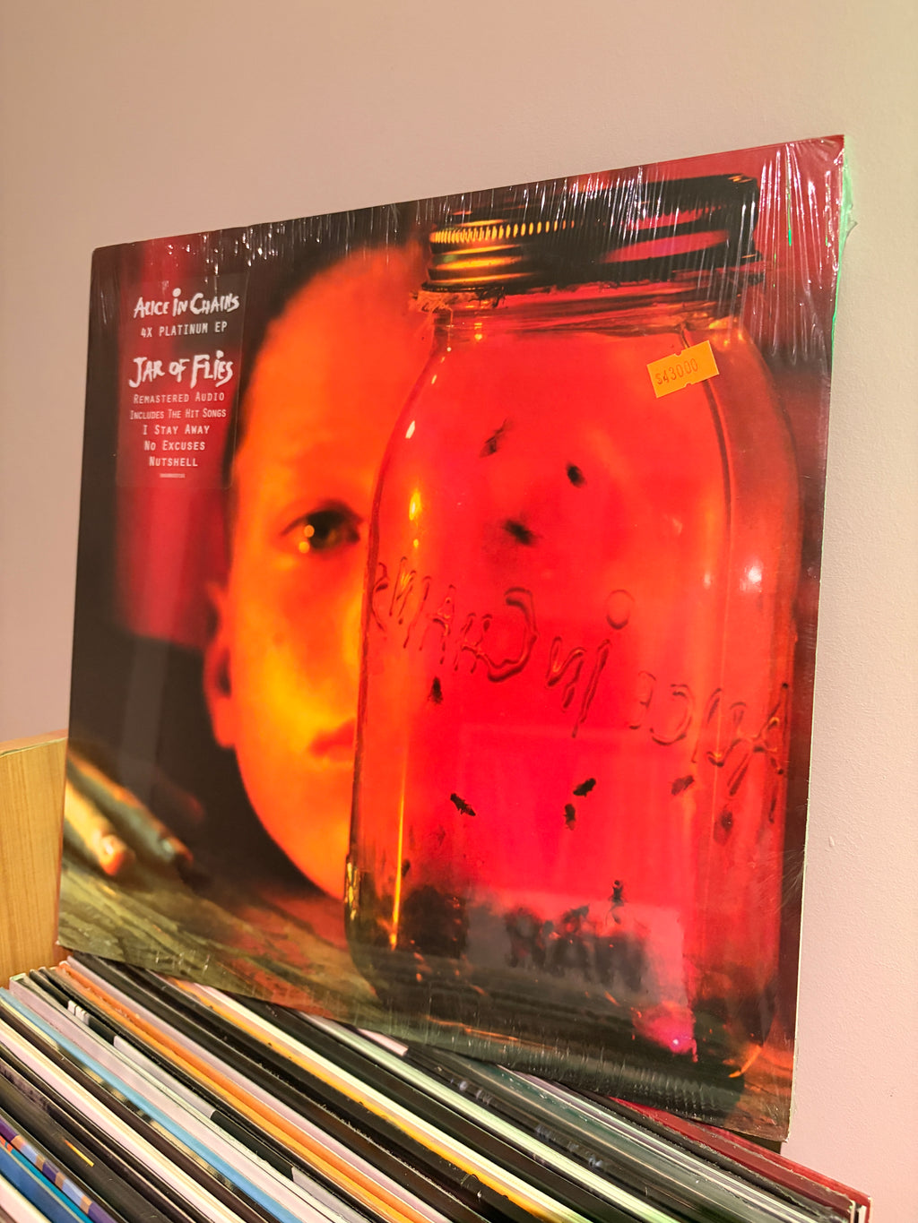 ALICE IN CHAINS Jar of Flies