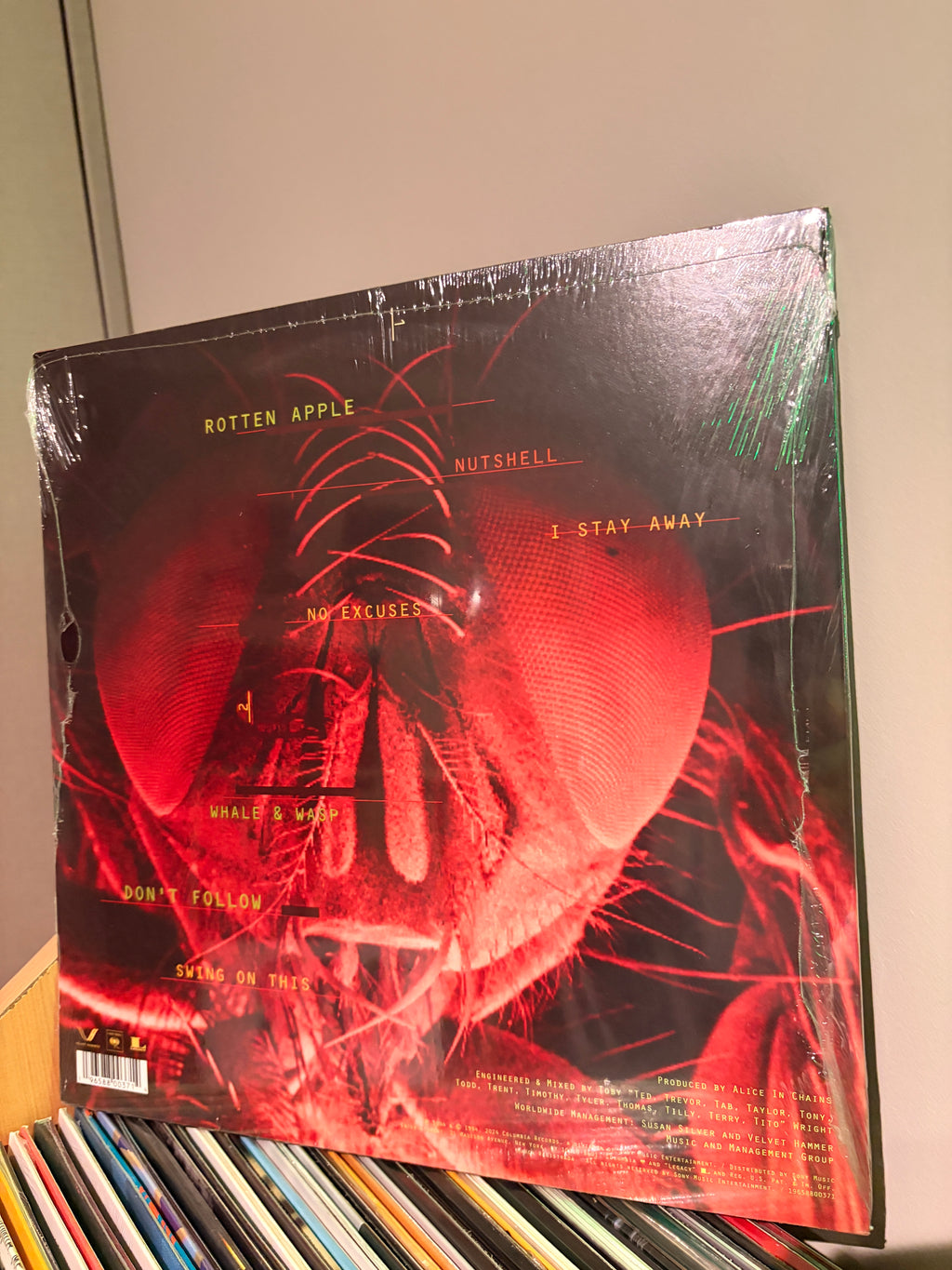 ALICE IN CHAINS Jar of Flies