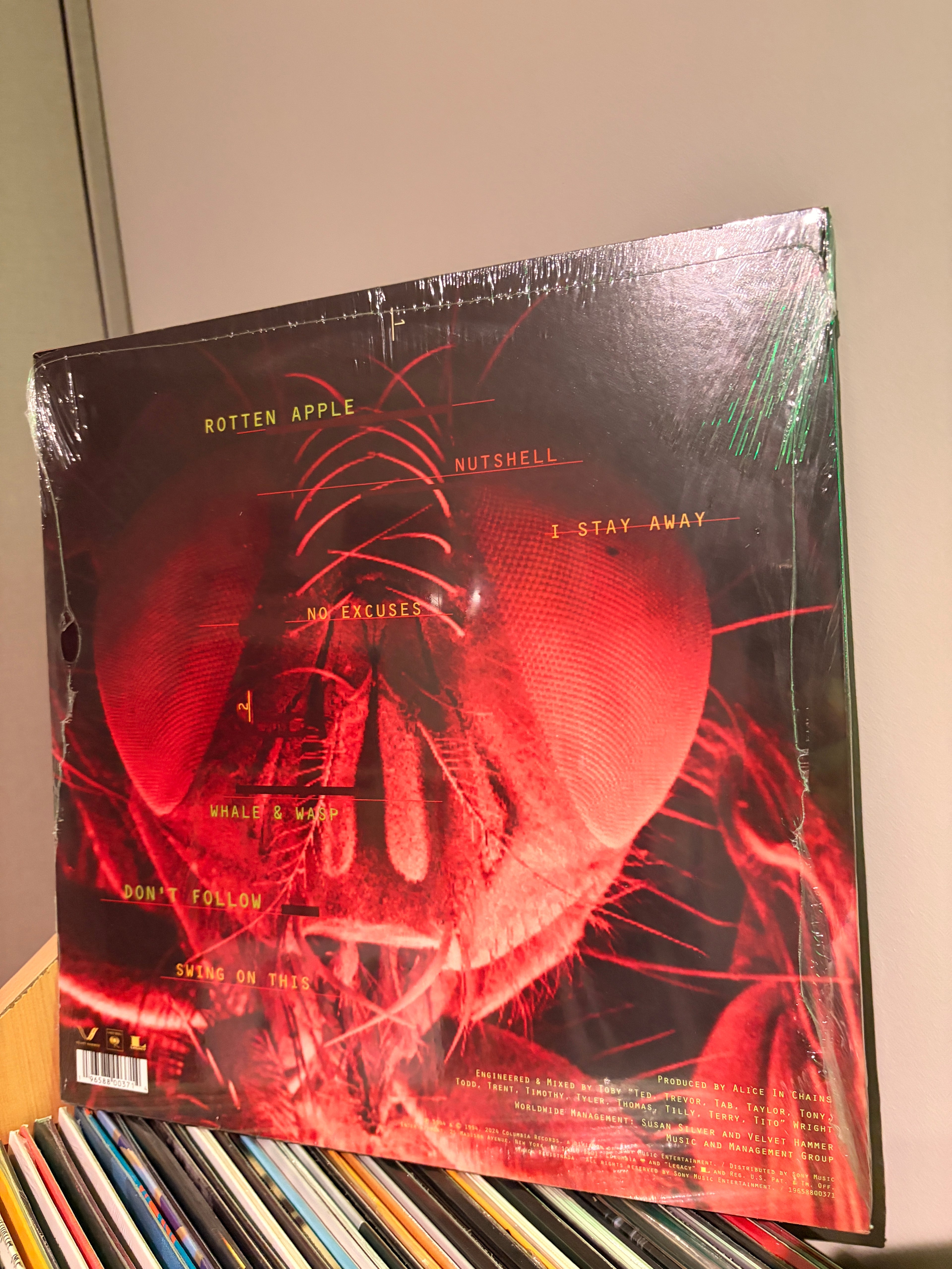 ALICE IN CHAINS Jar of Flies