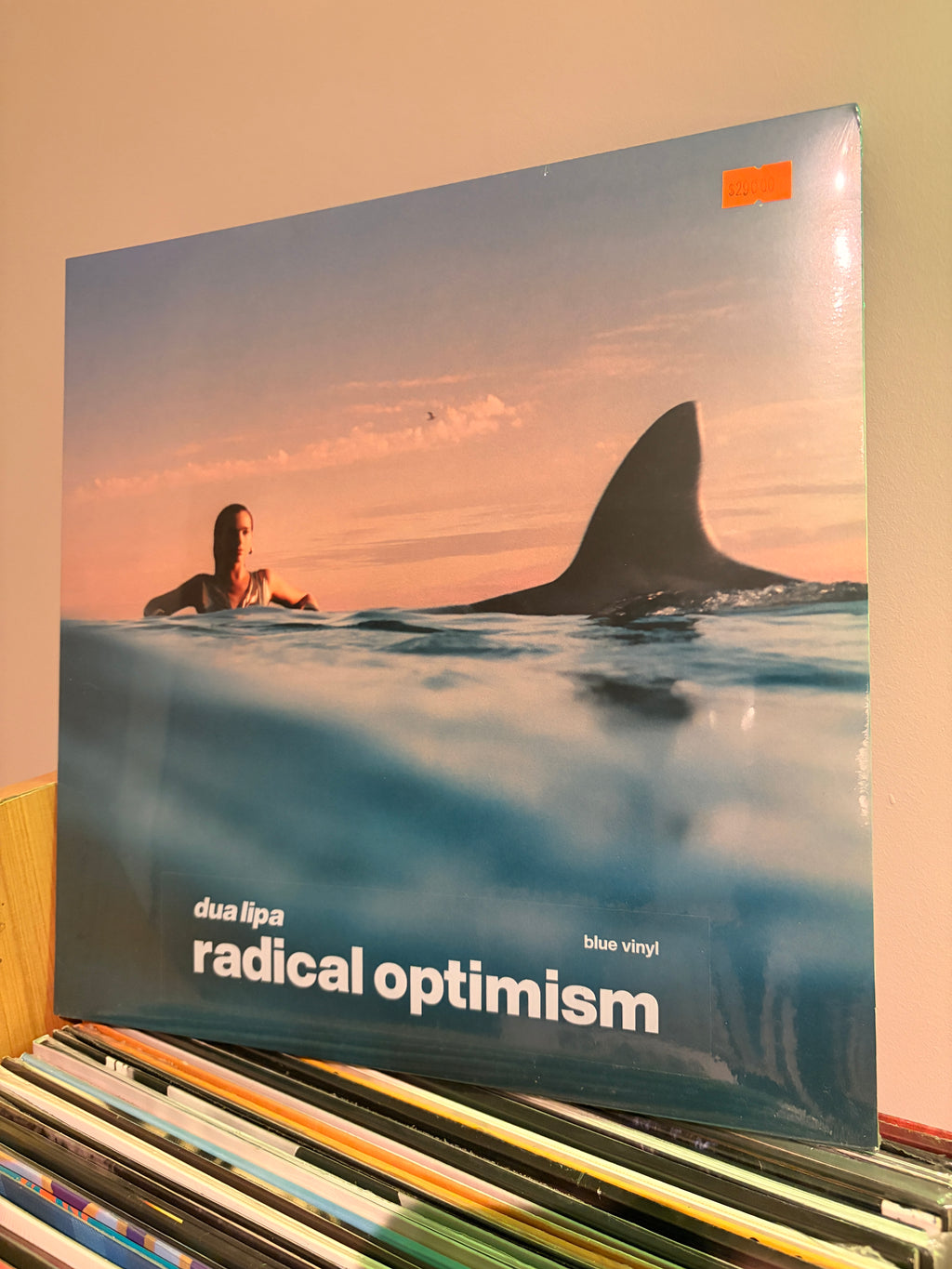 DUA LIPA Radical optimism