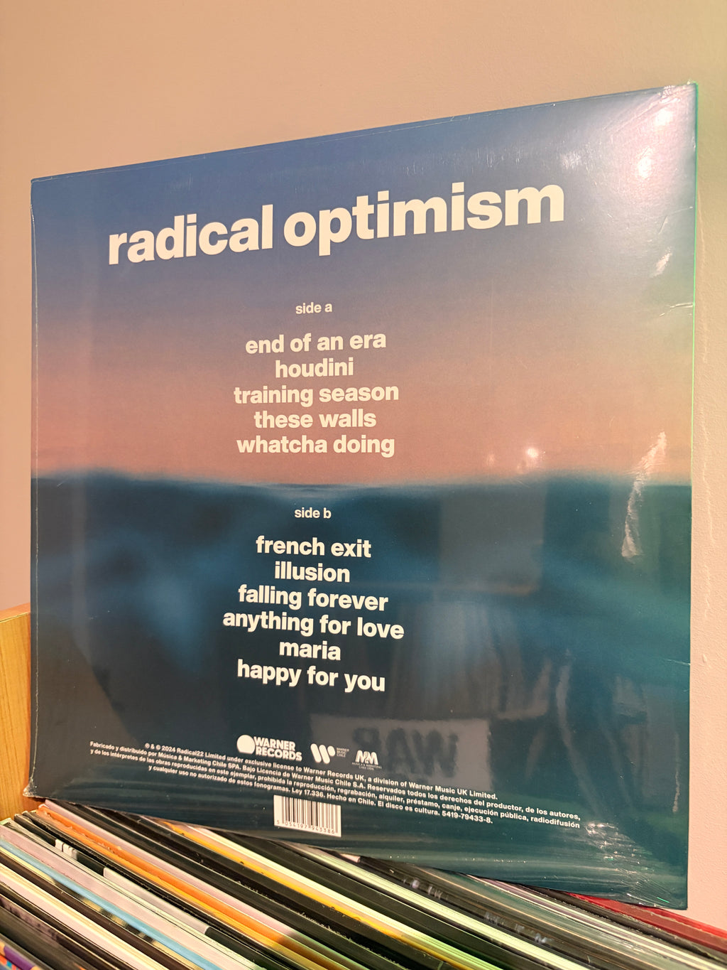 DUA LIPA Radical optimism