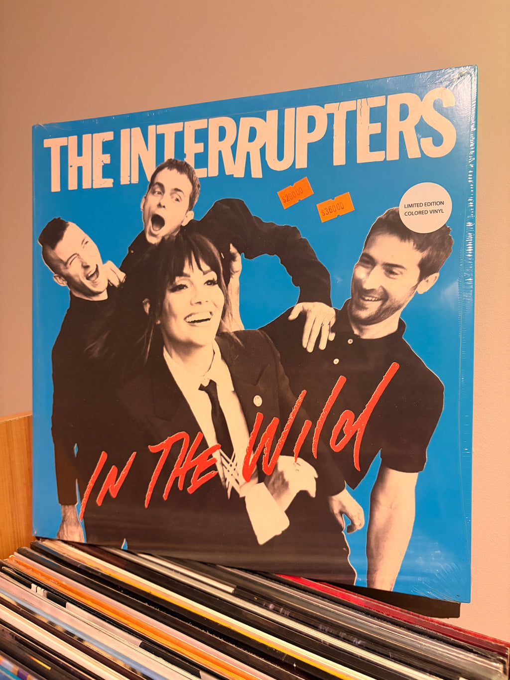 THE INTERRUPTERS In the wild