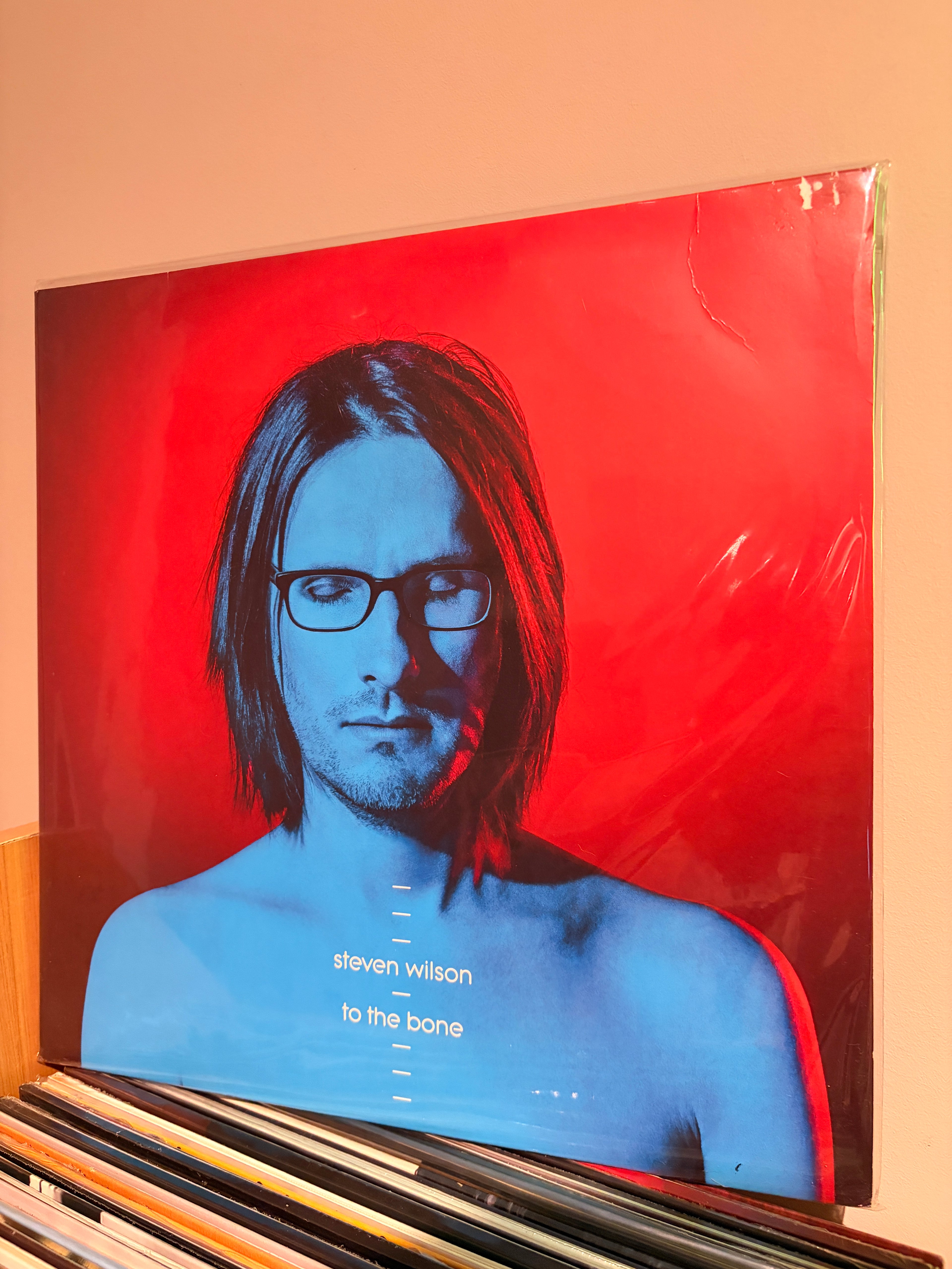 STEVEN WILSON To the bone
