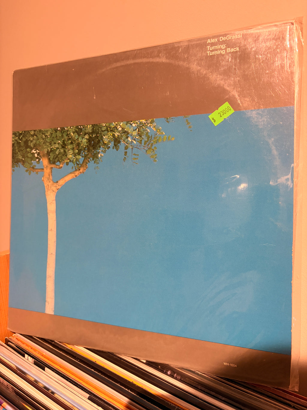 ALEX DEGRASSI Turning Back