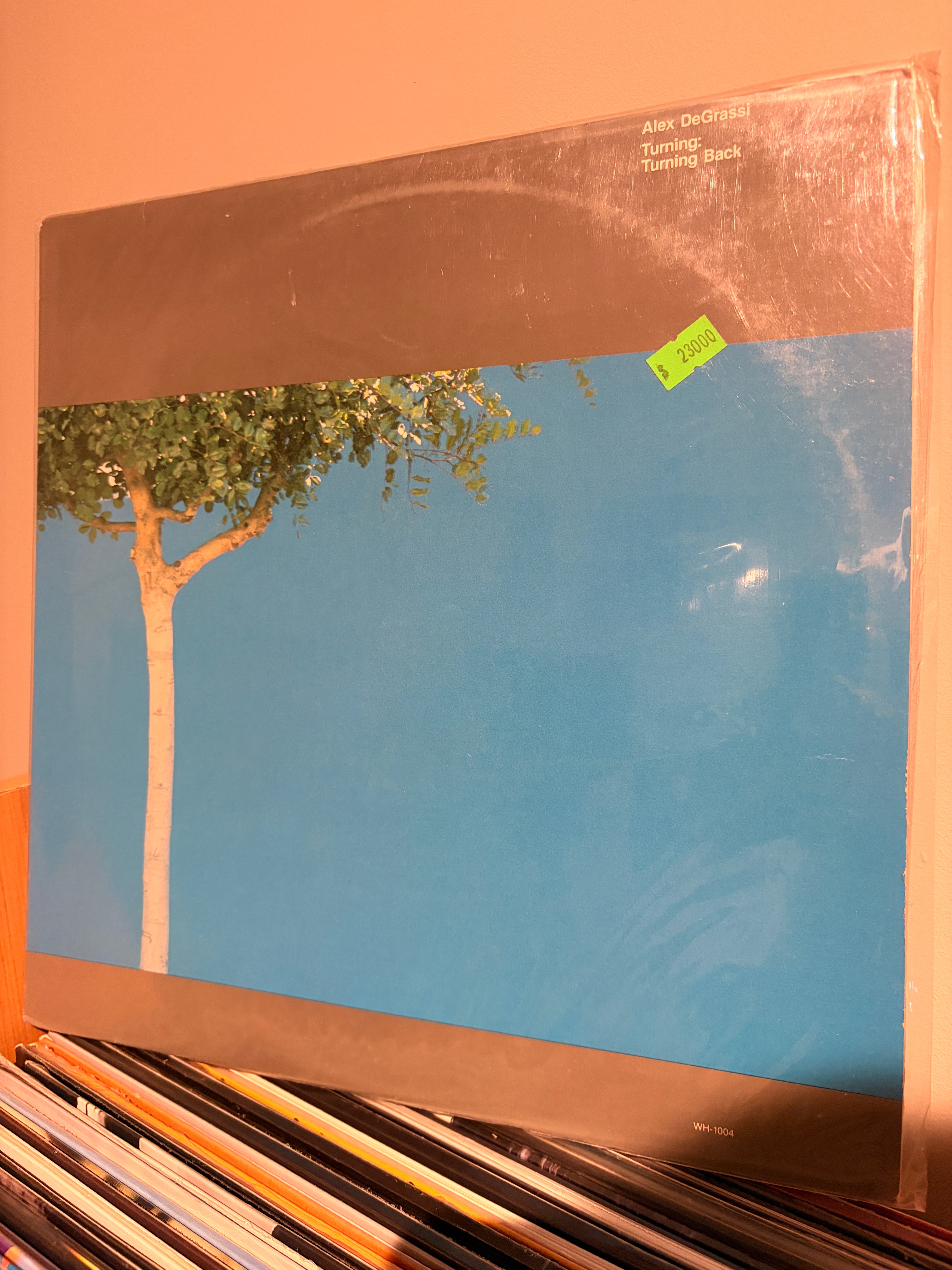 ALEX DEGRASSI Turning Back