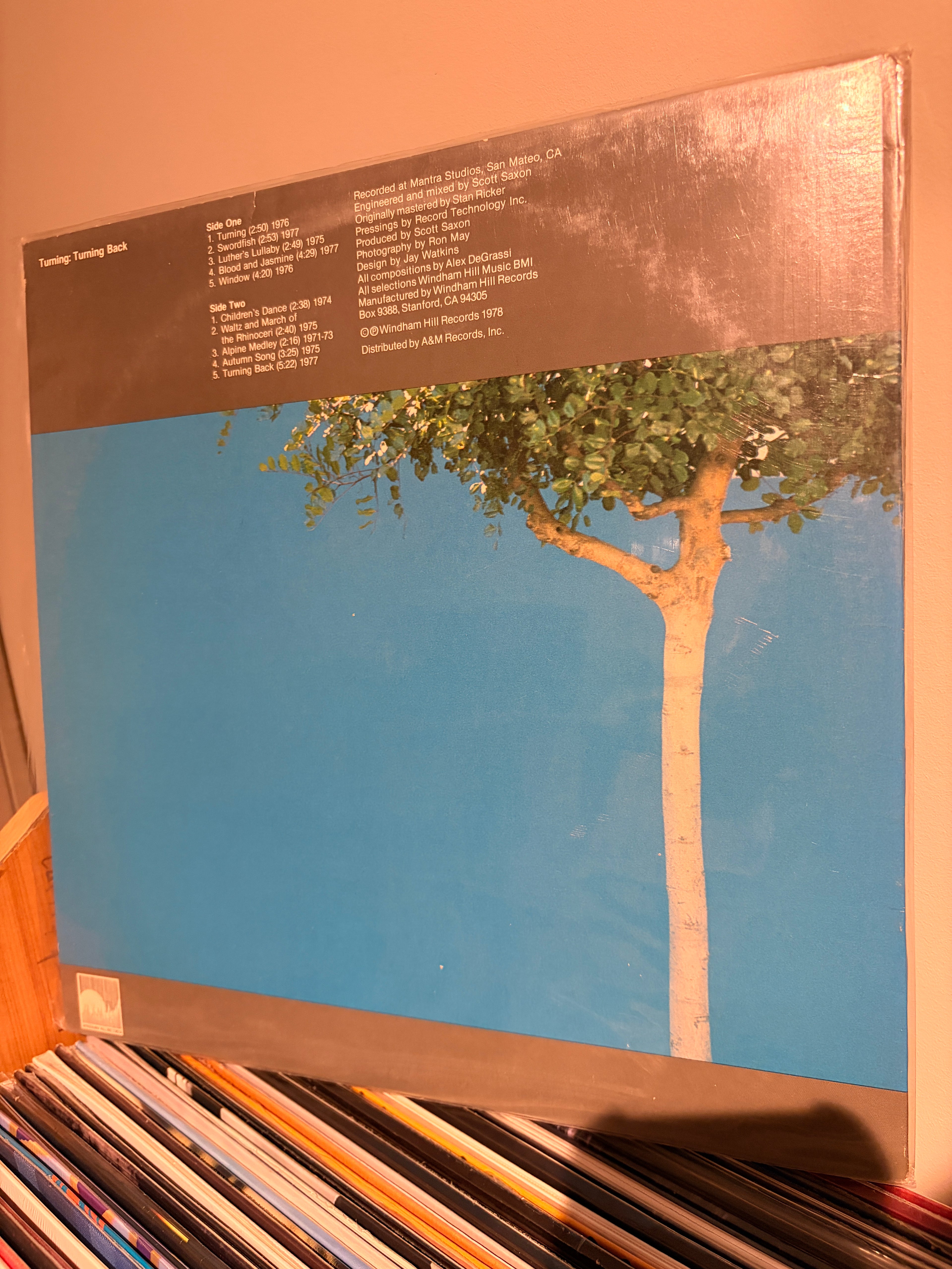 ALEX DEGRASSI Turning Back