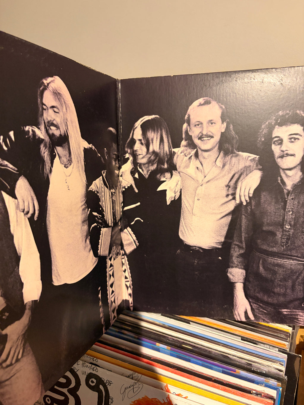 THE ALLMAN BROTHER BAND Enlightened Rogue