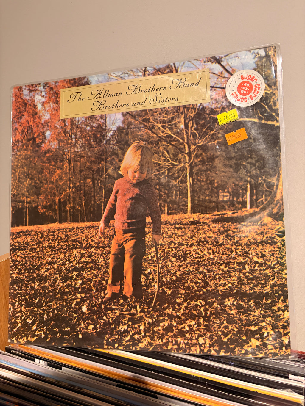 THE ALLMAN BROTHERS BAND Brothers and Sisters