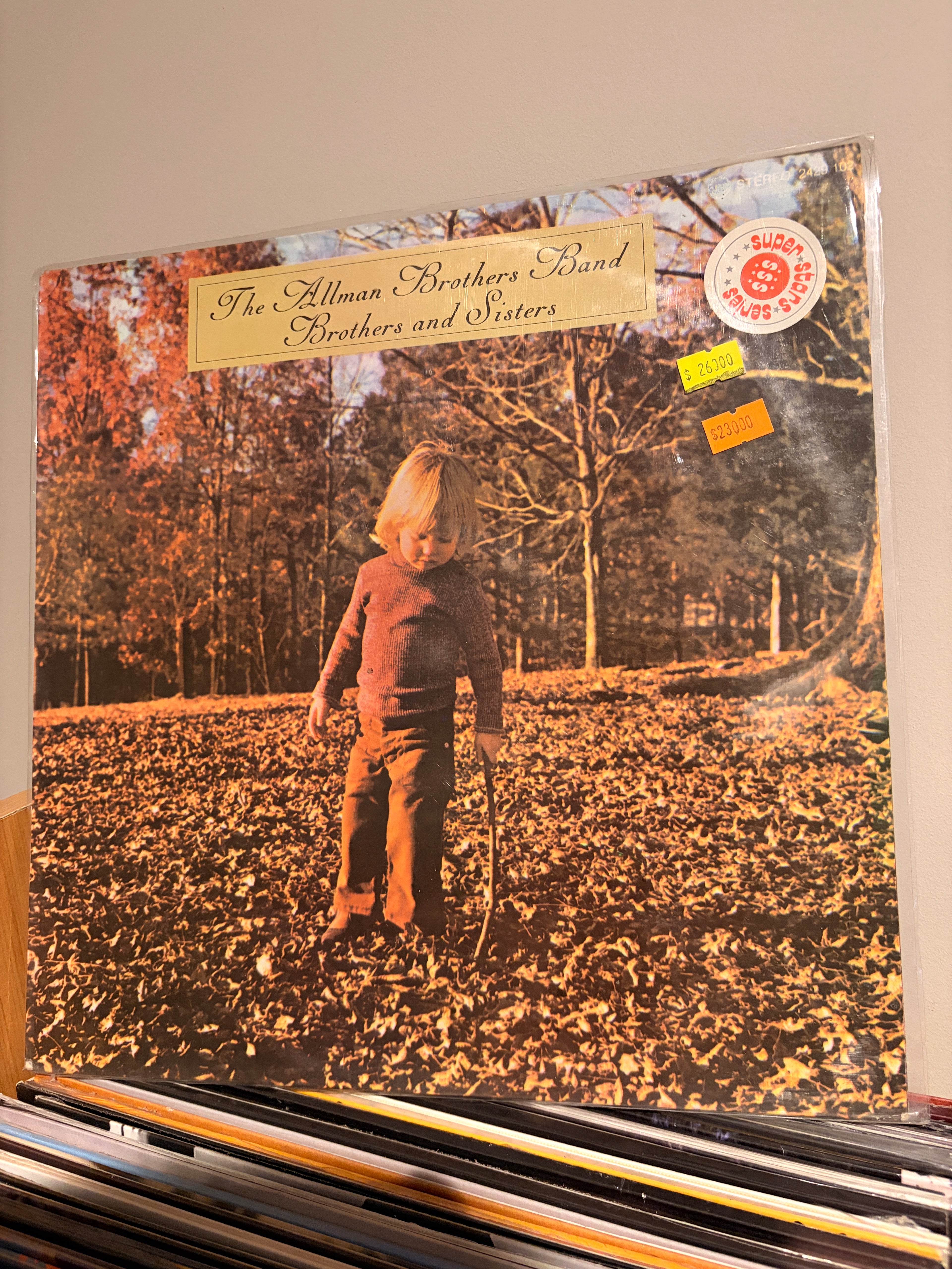 THE ALLMAN BROTHERS BAND Brothers and Sisters