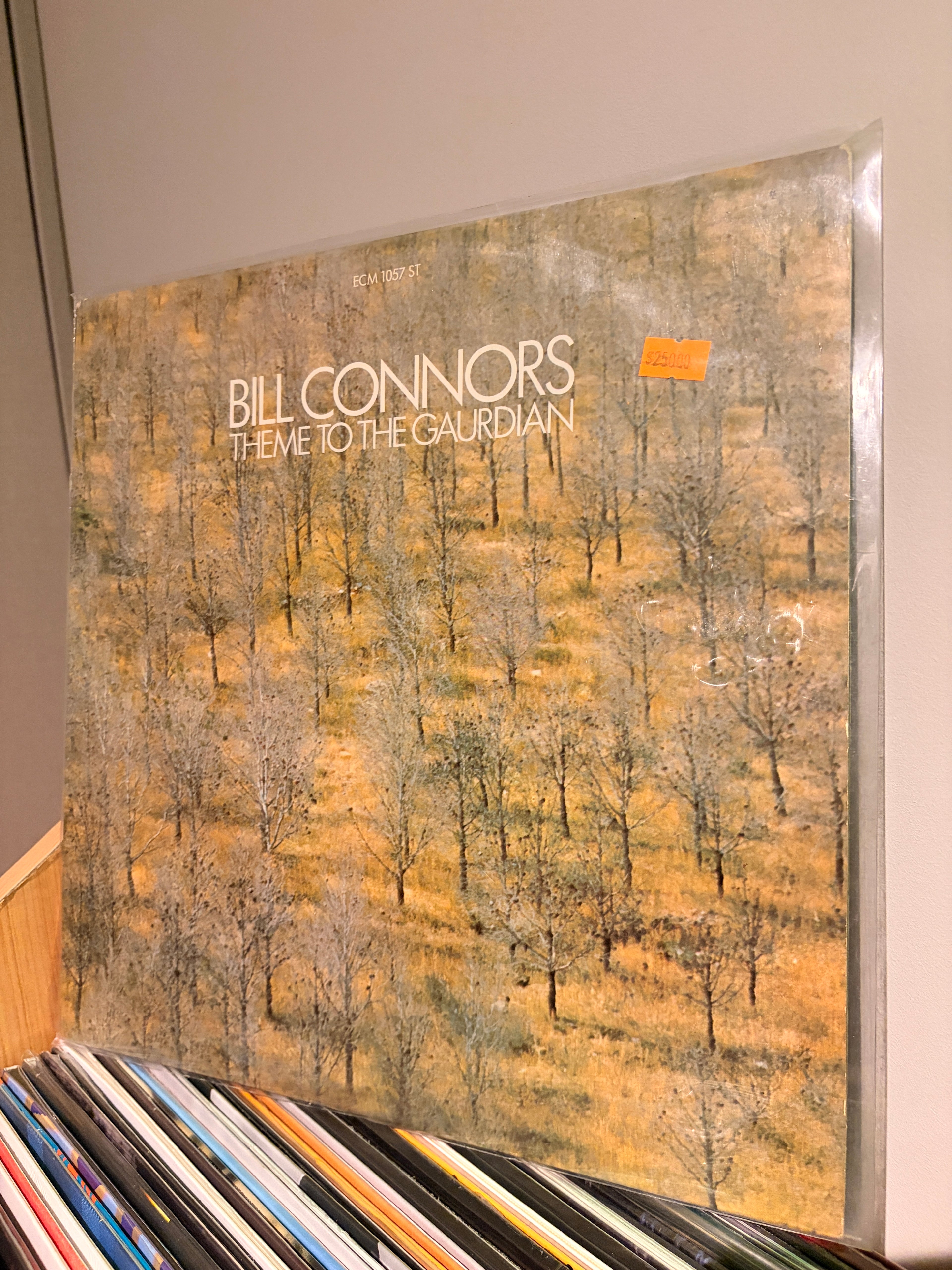 BILL CONNORS Theme to the gaurdian