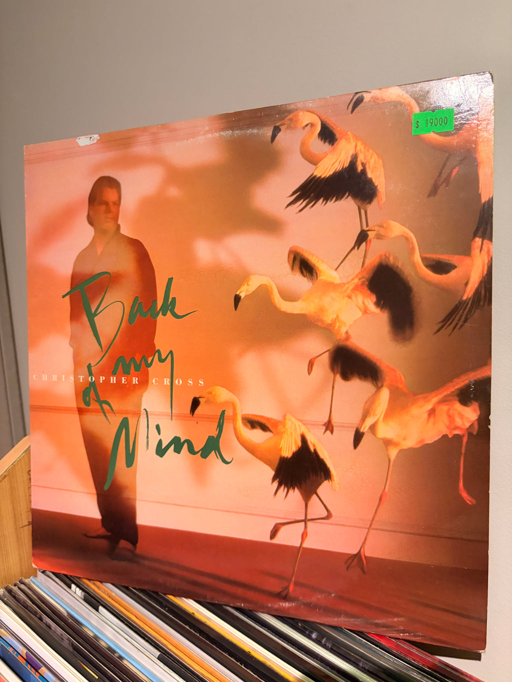 CHRISTOPHER CROSS Back of my mind