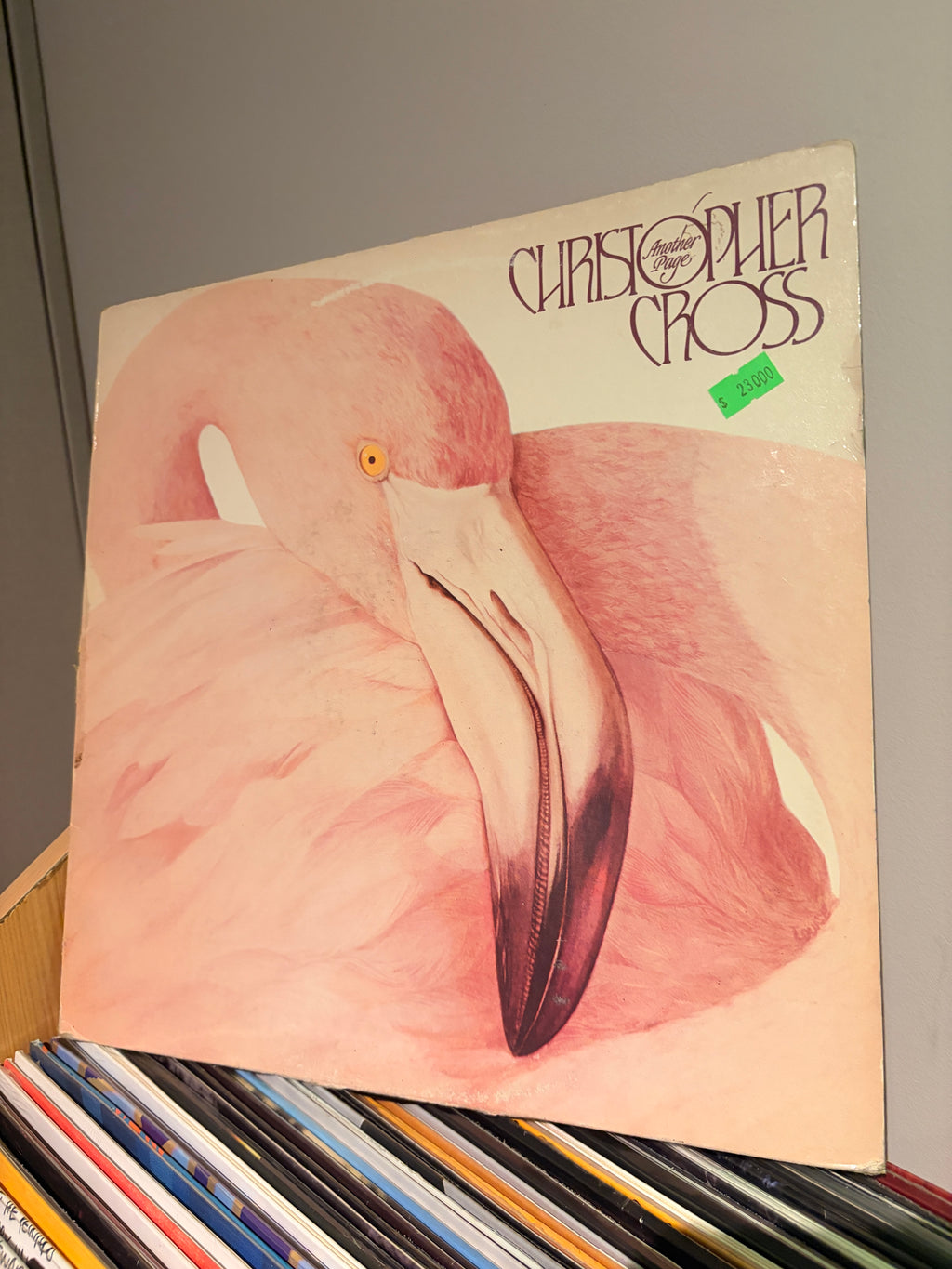 CHRISTOPHER CROSS Another page