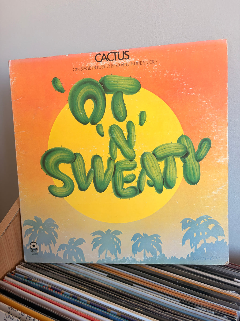 CACTUS Ot n sweaty