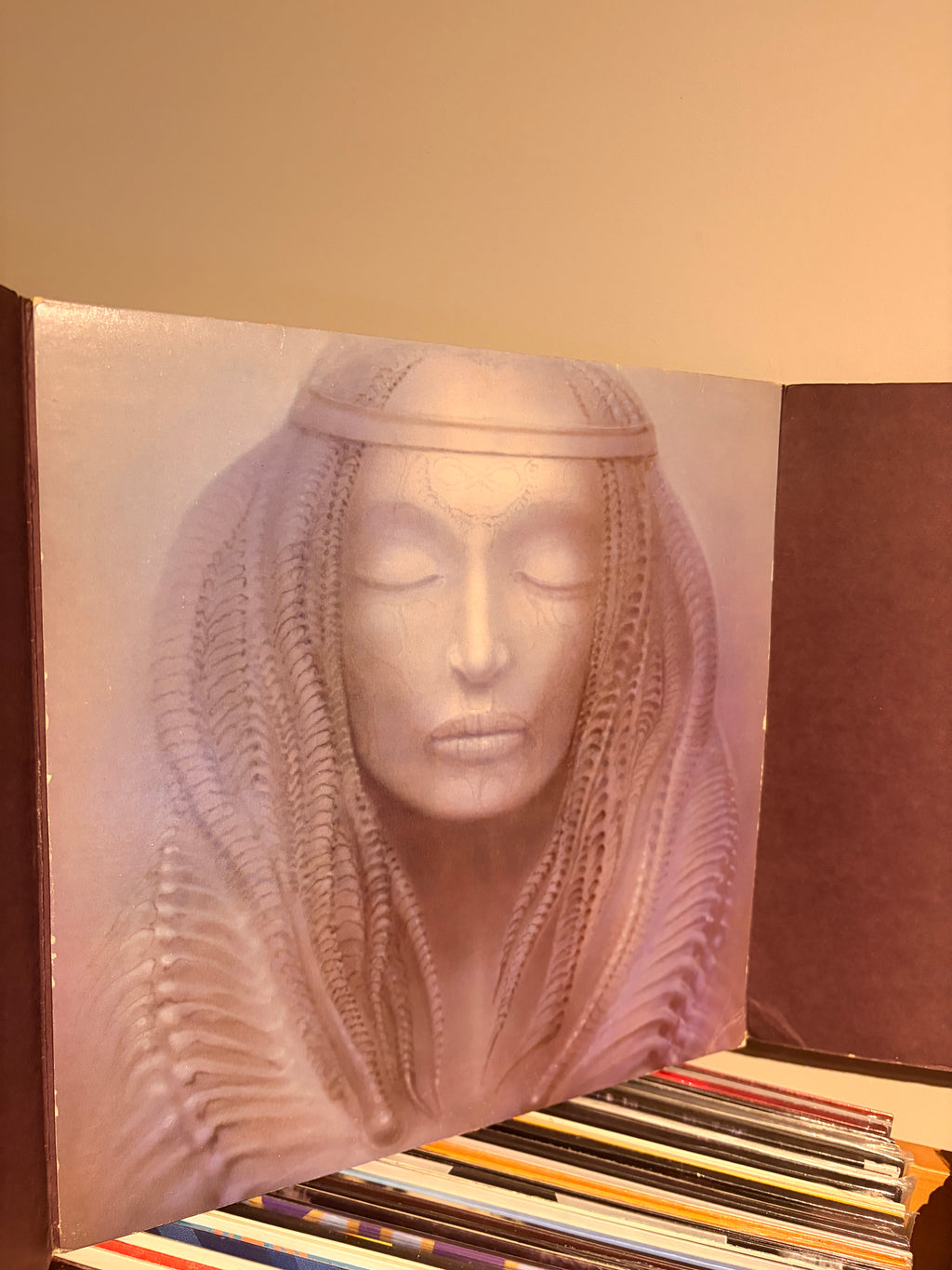 EMERSON LAKE & PALMER Brain Salad Surgery