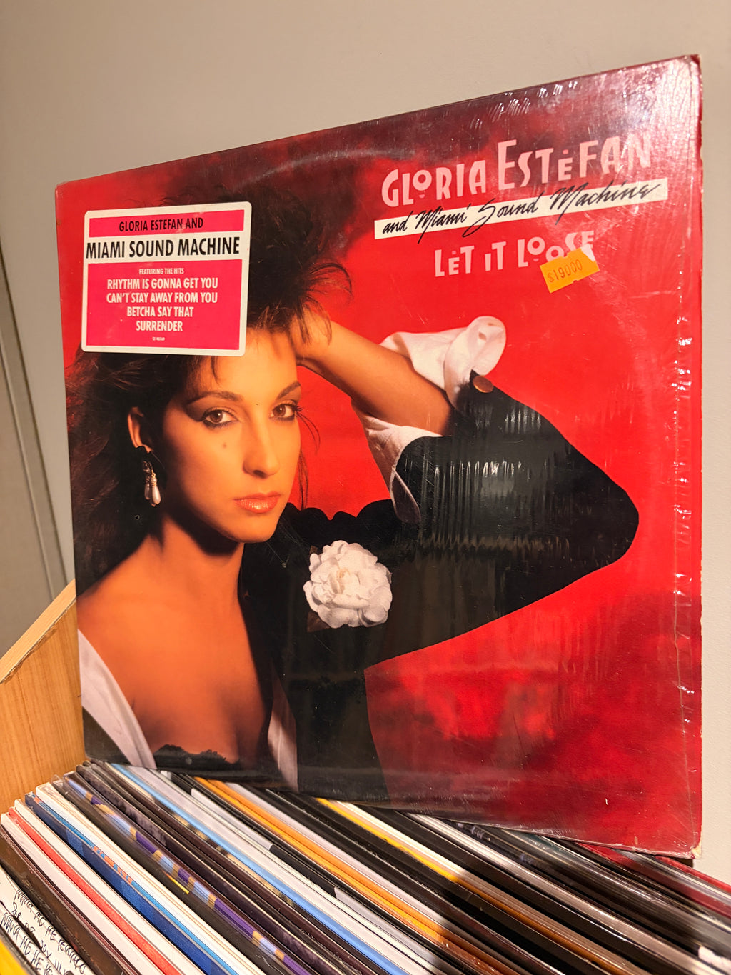 GLORIA ESTEFAN and Miami Sound Machine  Let it loose