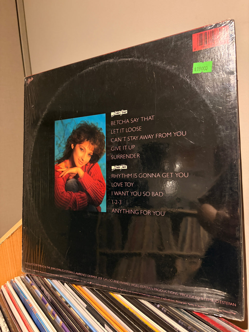 GLORIA ESTEFAN and Miami Sound Machine  Let it loose