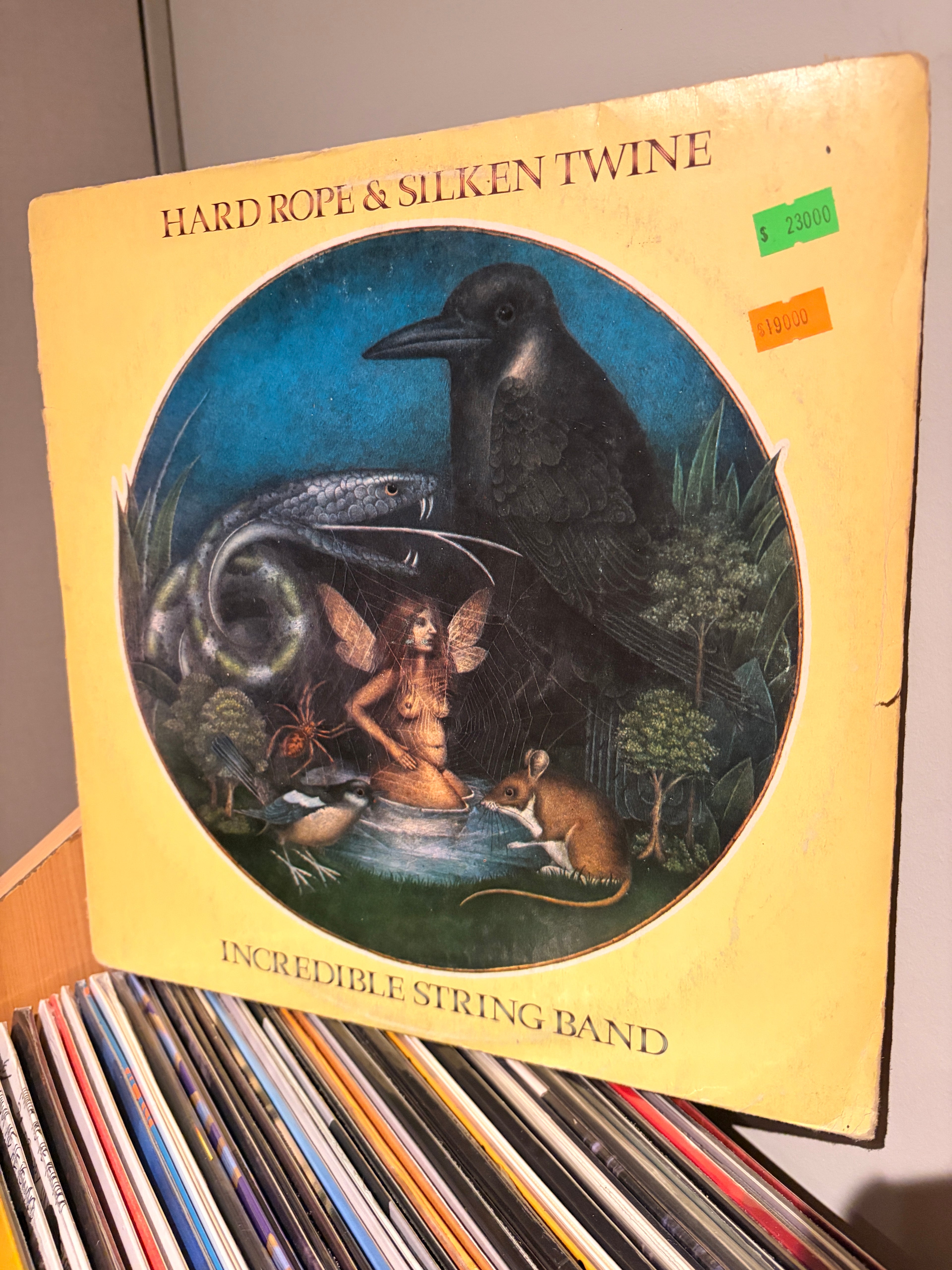 HARD ROPE & SILKEN TWINE incredible string band