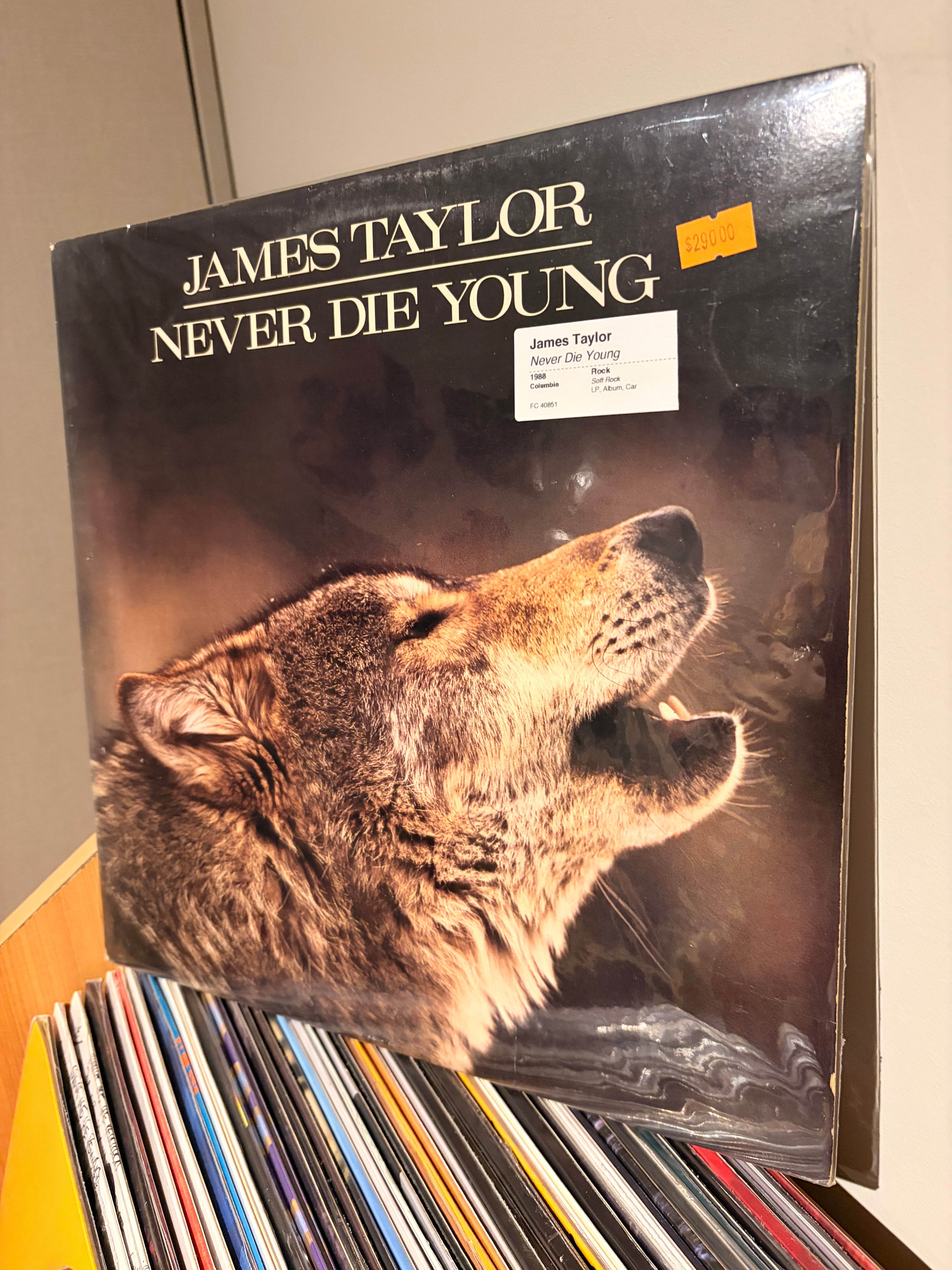 JAMES TAYLOR Never die young