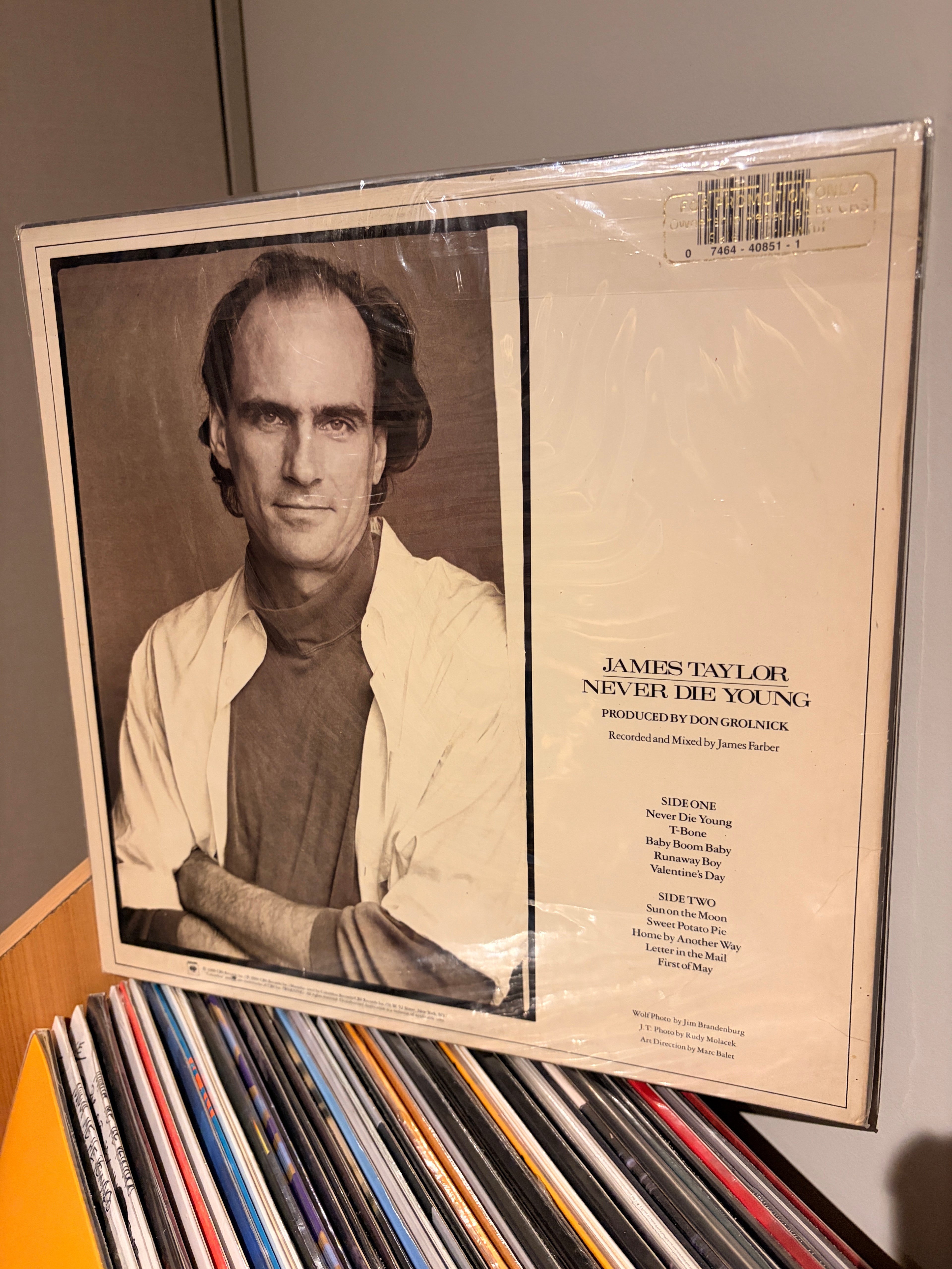 JAMES TAYLOR Never die young