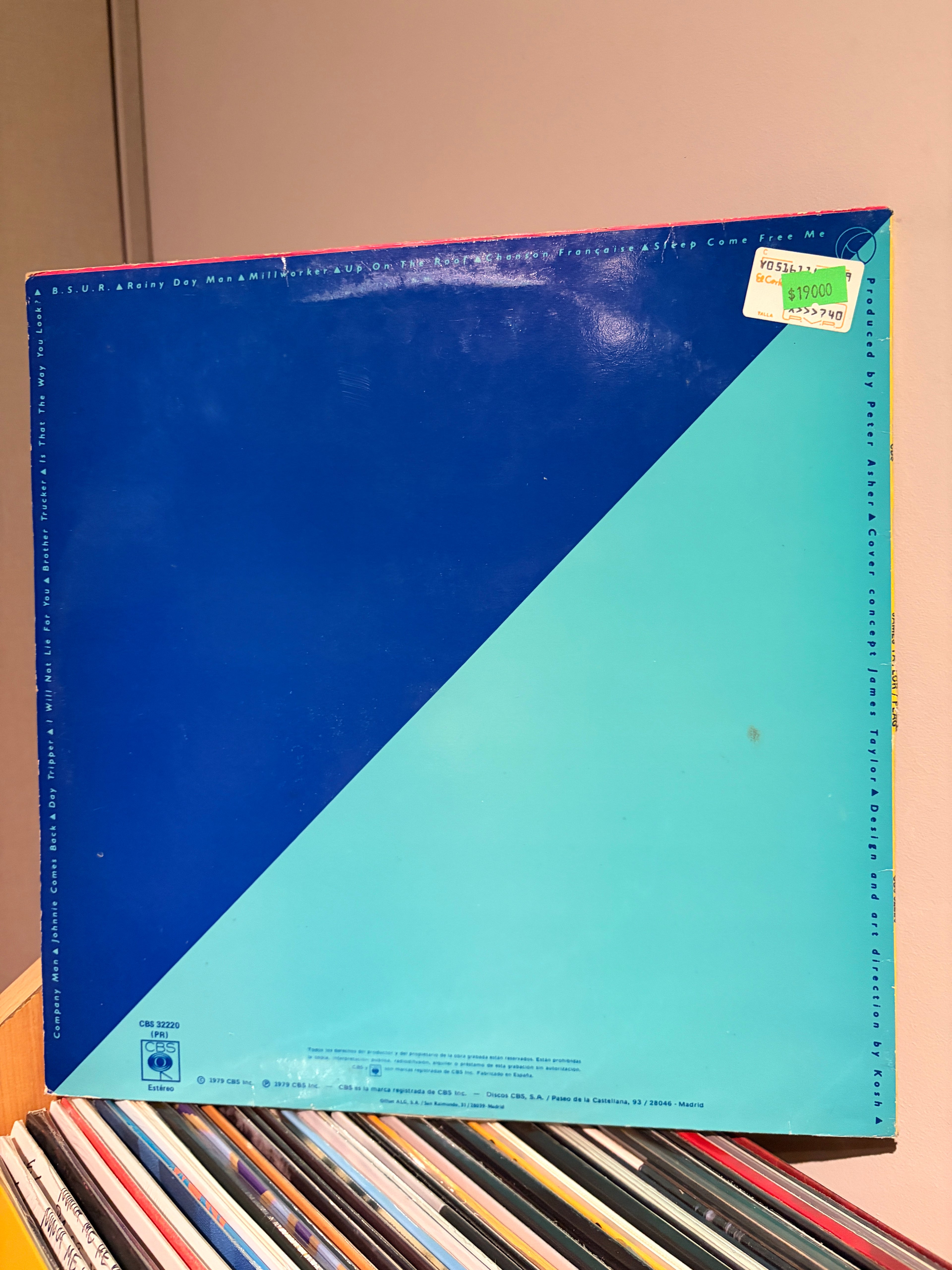 JAMES TAYLOR Flag
