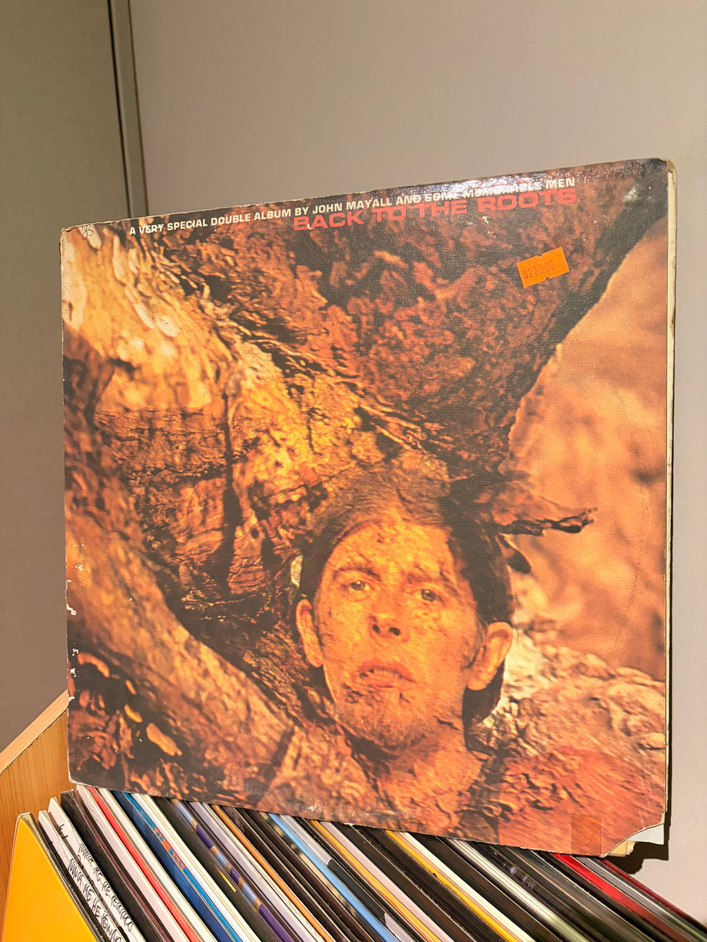 JOHN MAYALL Back to the roots
