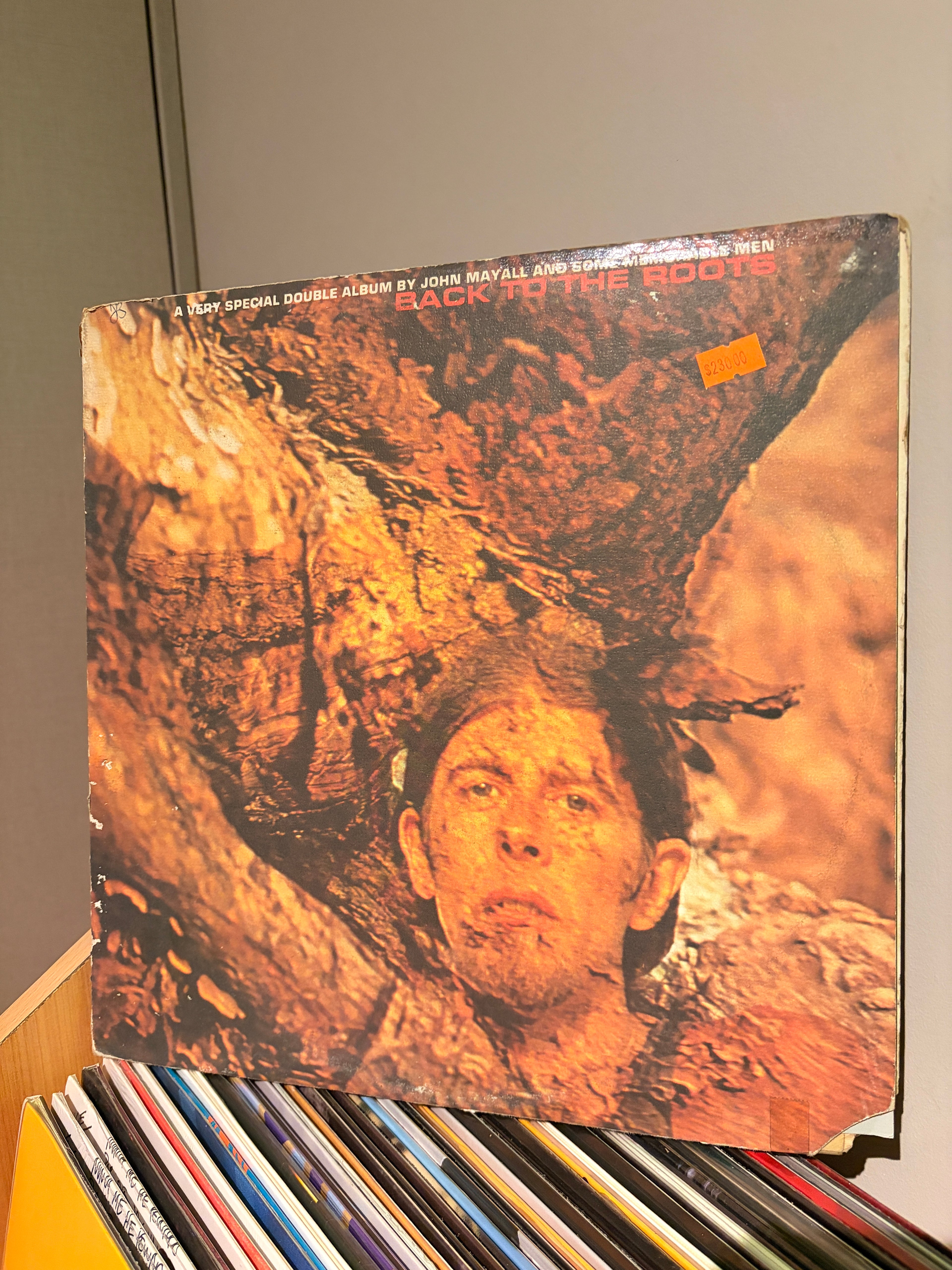 JOHN MAYALL Back to the roots