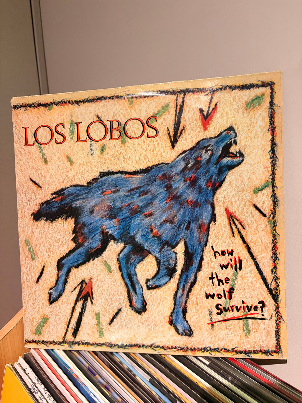LOS LOBOS How will the wolf survive?