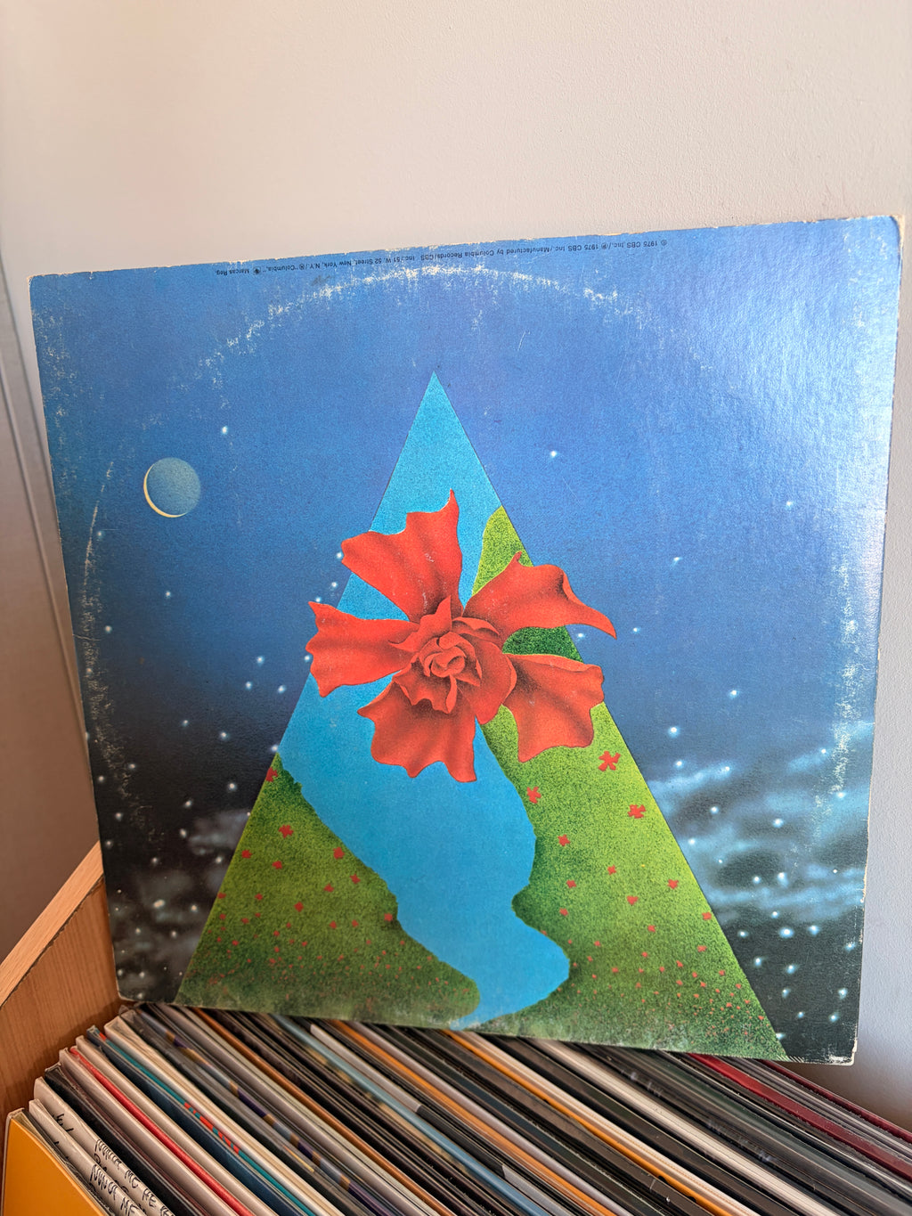 MAHAVISHNU ORCHESTRA Vision of the emerald beyond
