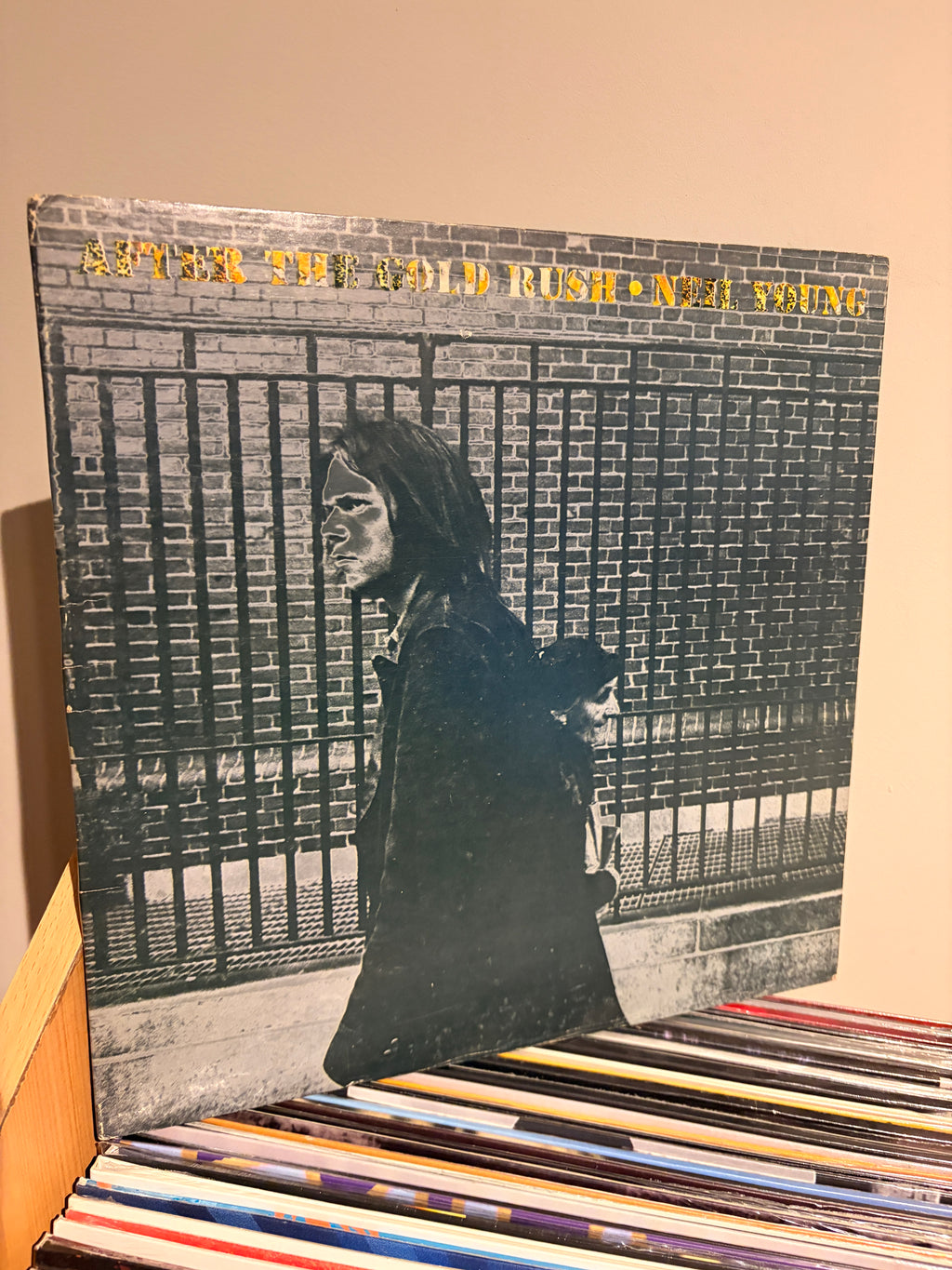 NEIL YOUNG After the gold rush