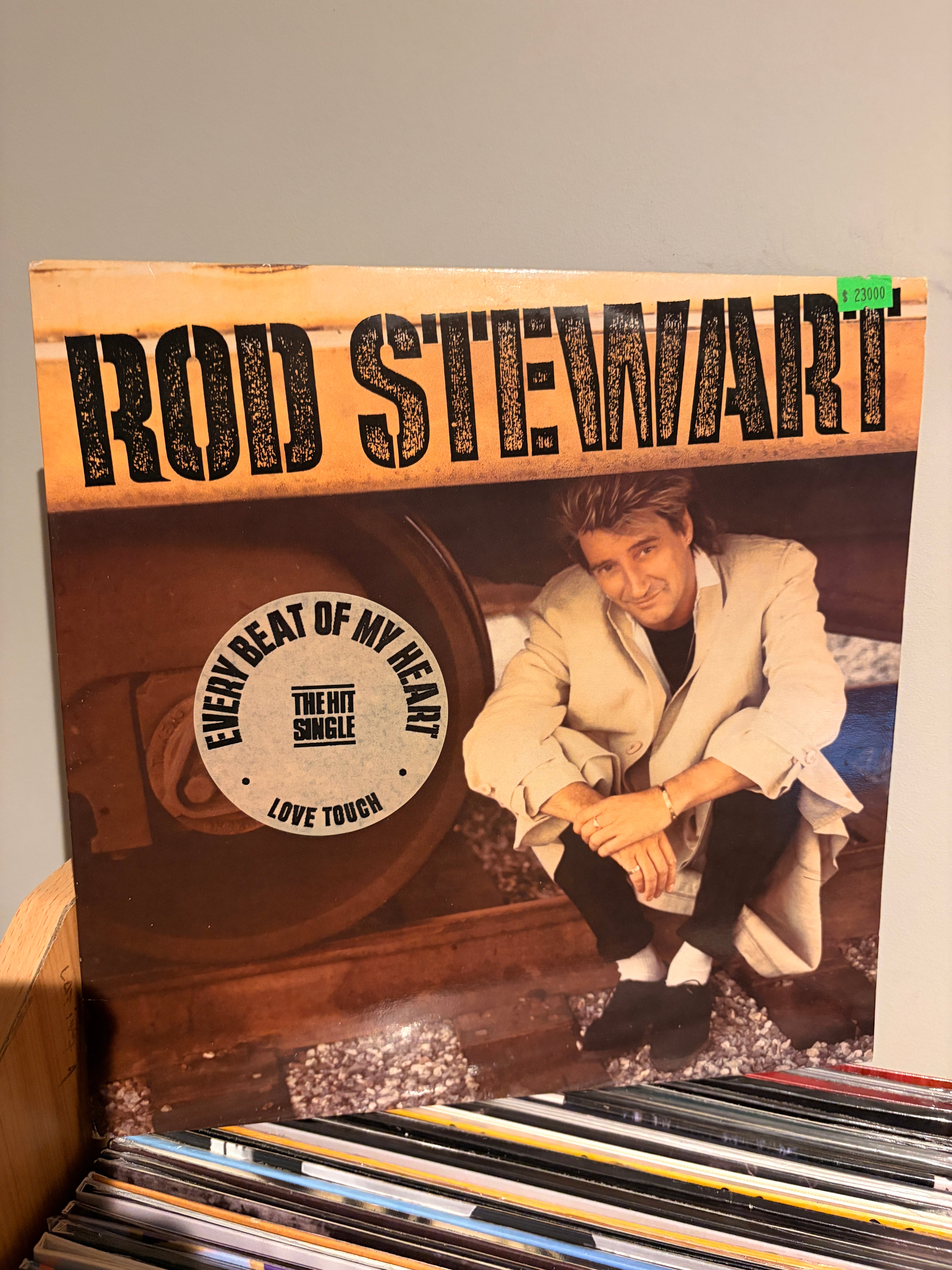 ROD STEWART Every beat of my heart