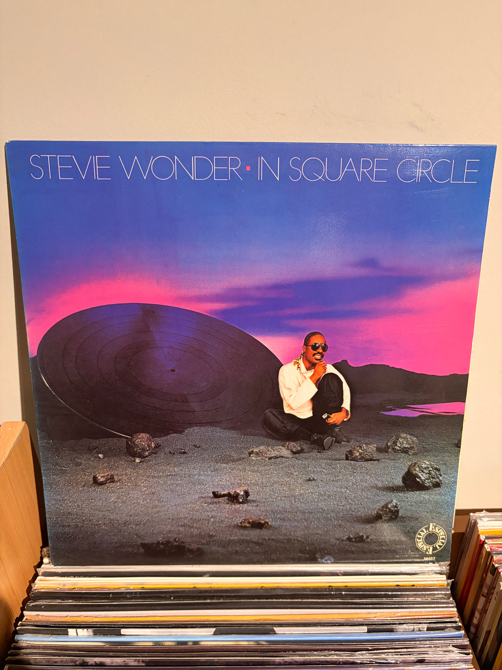 STEVIE WONDER In square circle