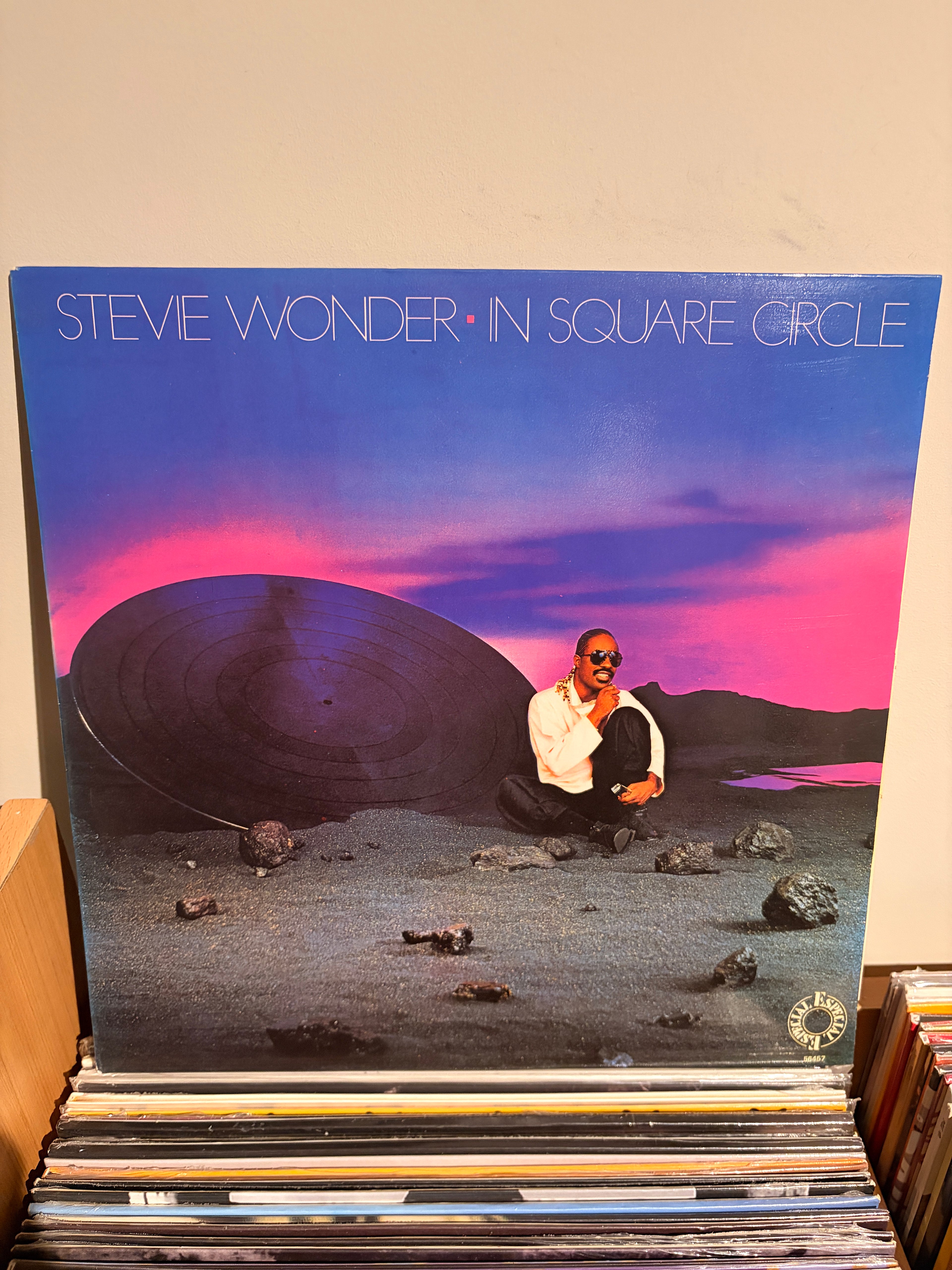 STEVIE WONDER In square circle