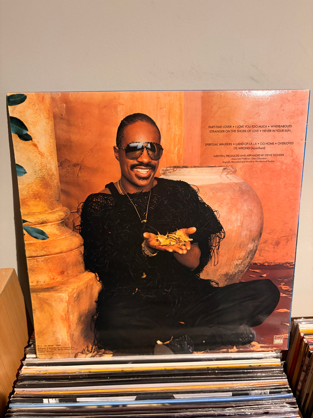 STEVIE WONDER In square circle