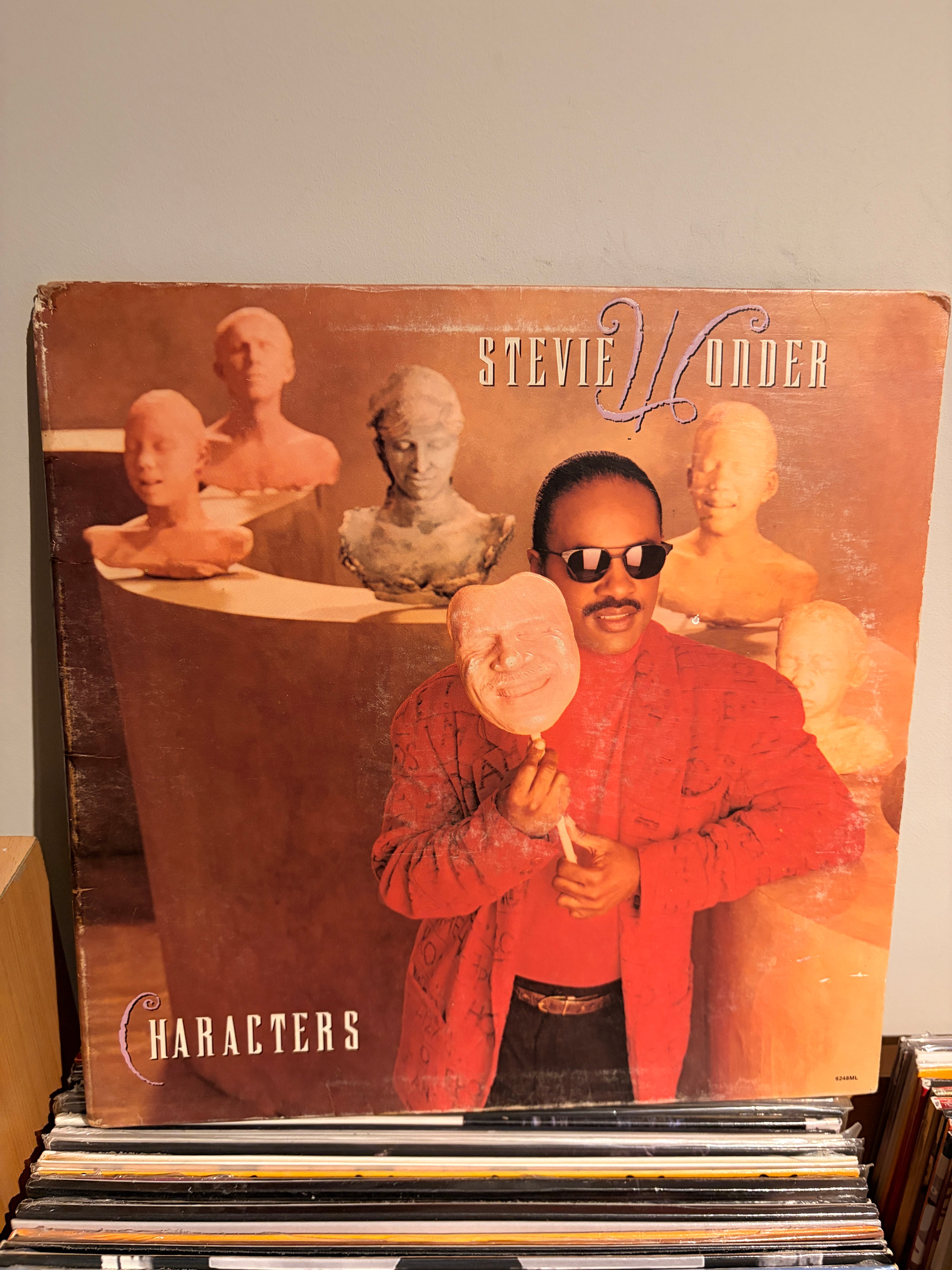 STEVIE WONDER Characters