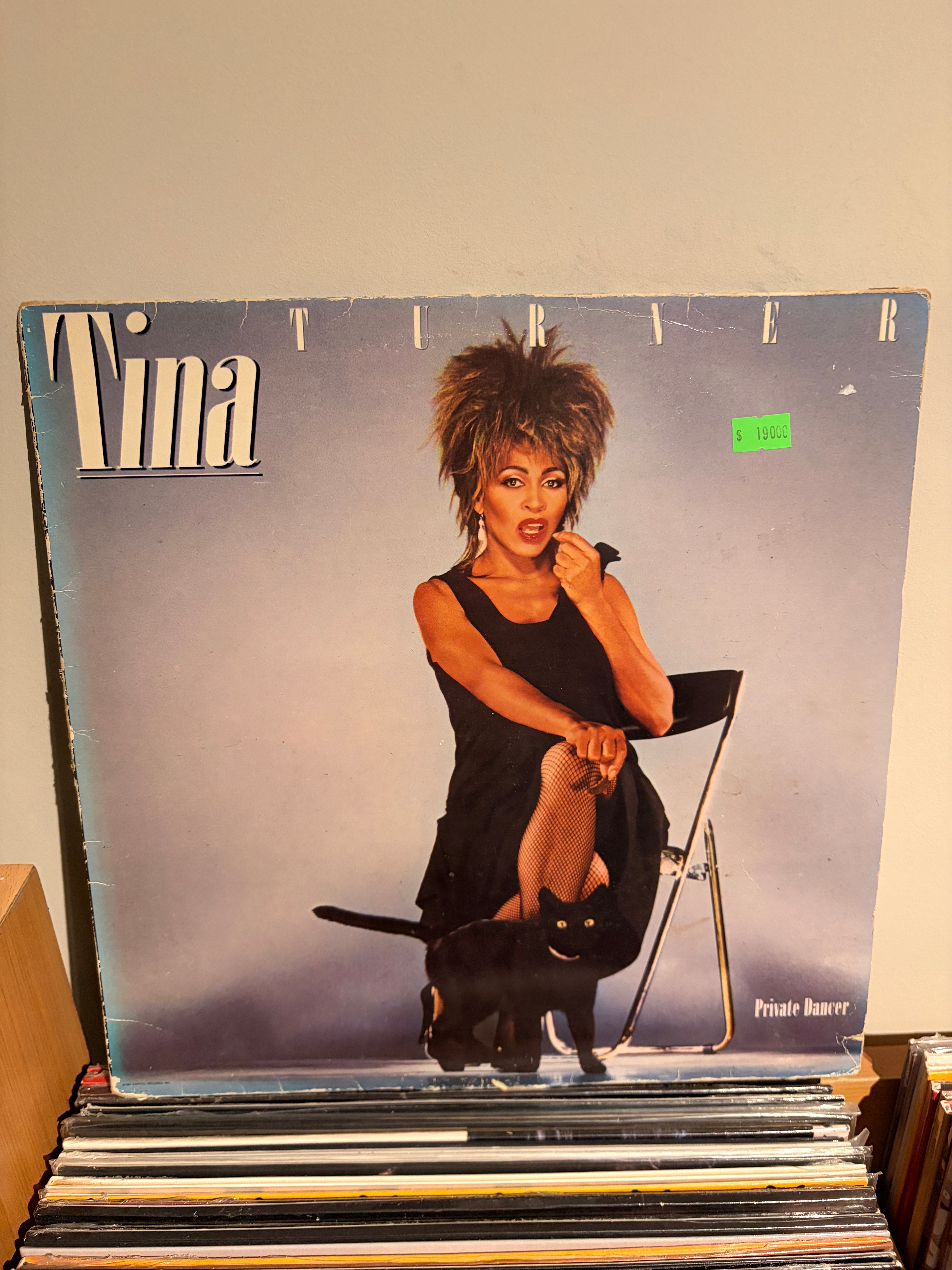 TINA TURNER Private dancer