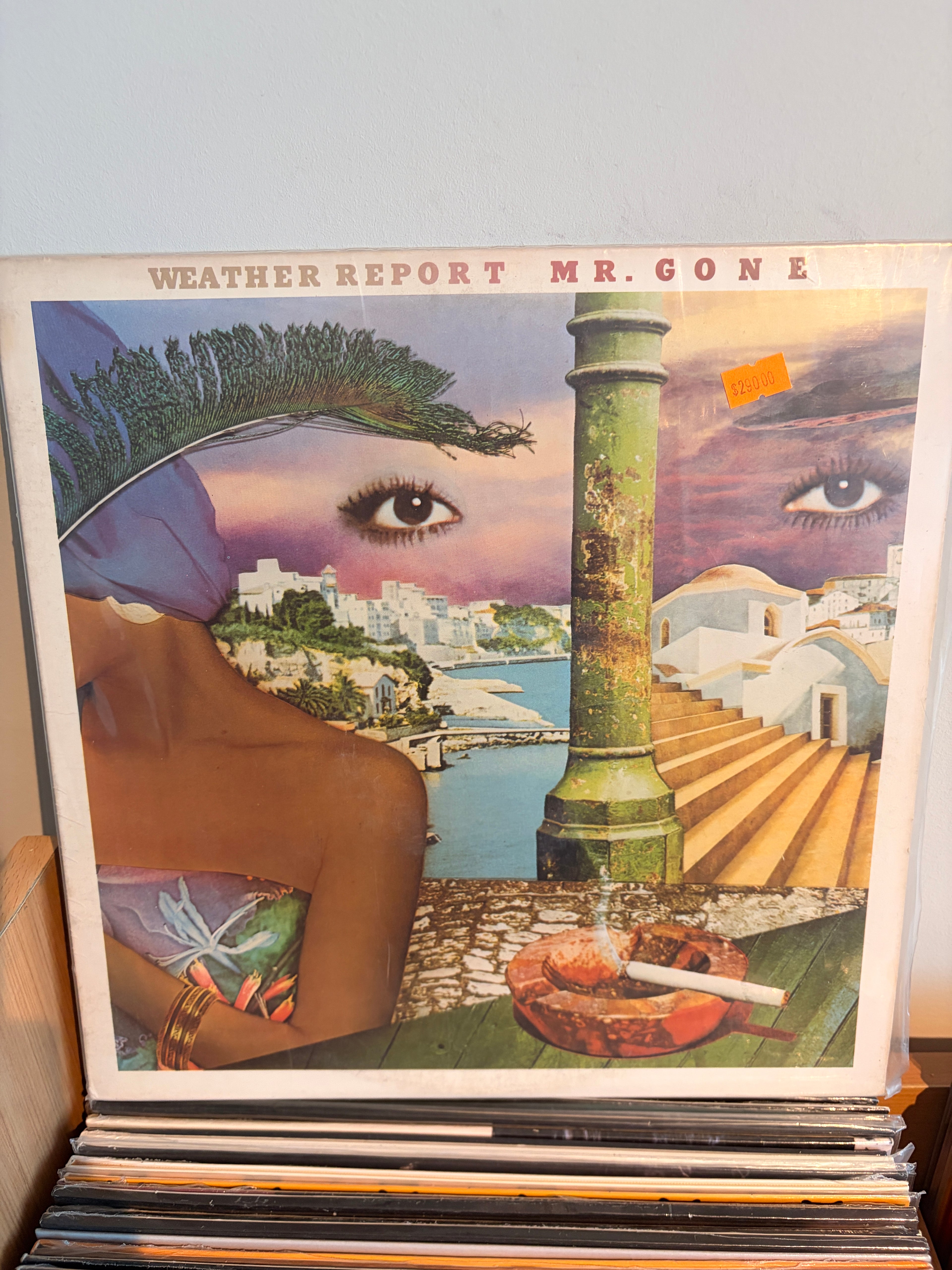 WEATHER REPORT Mr. gone