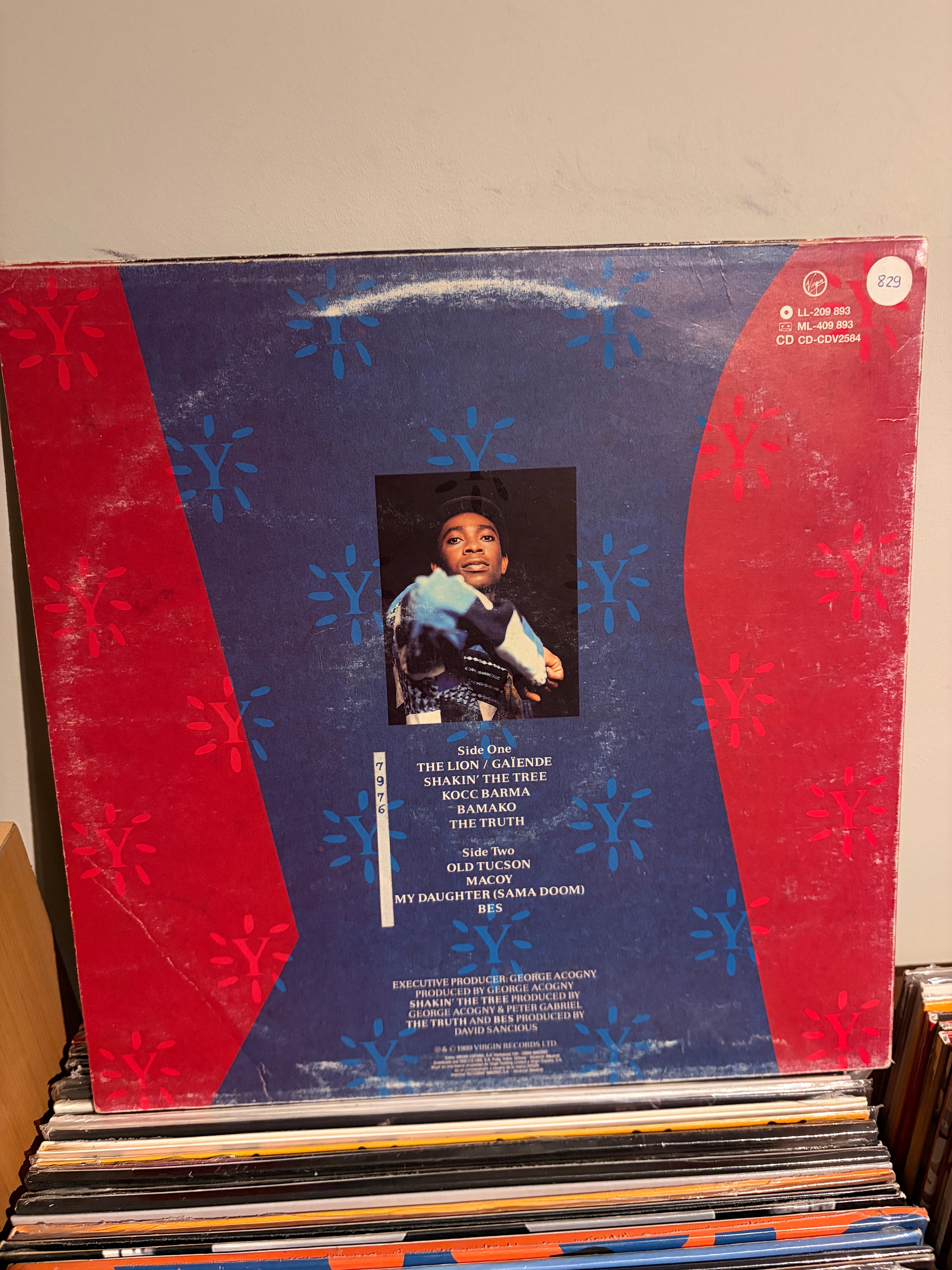 YOUSSOU N`DOUR The lion