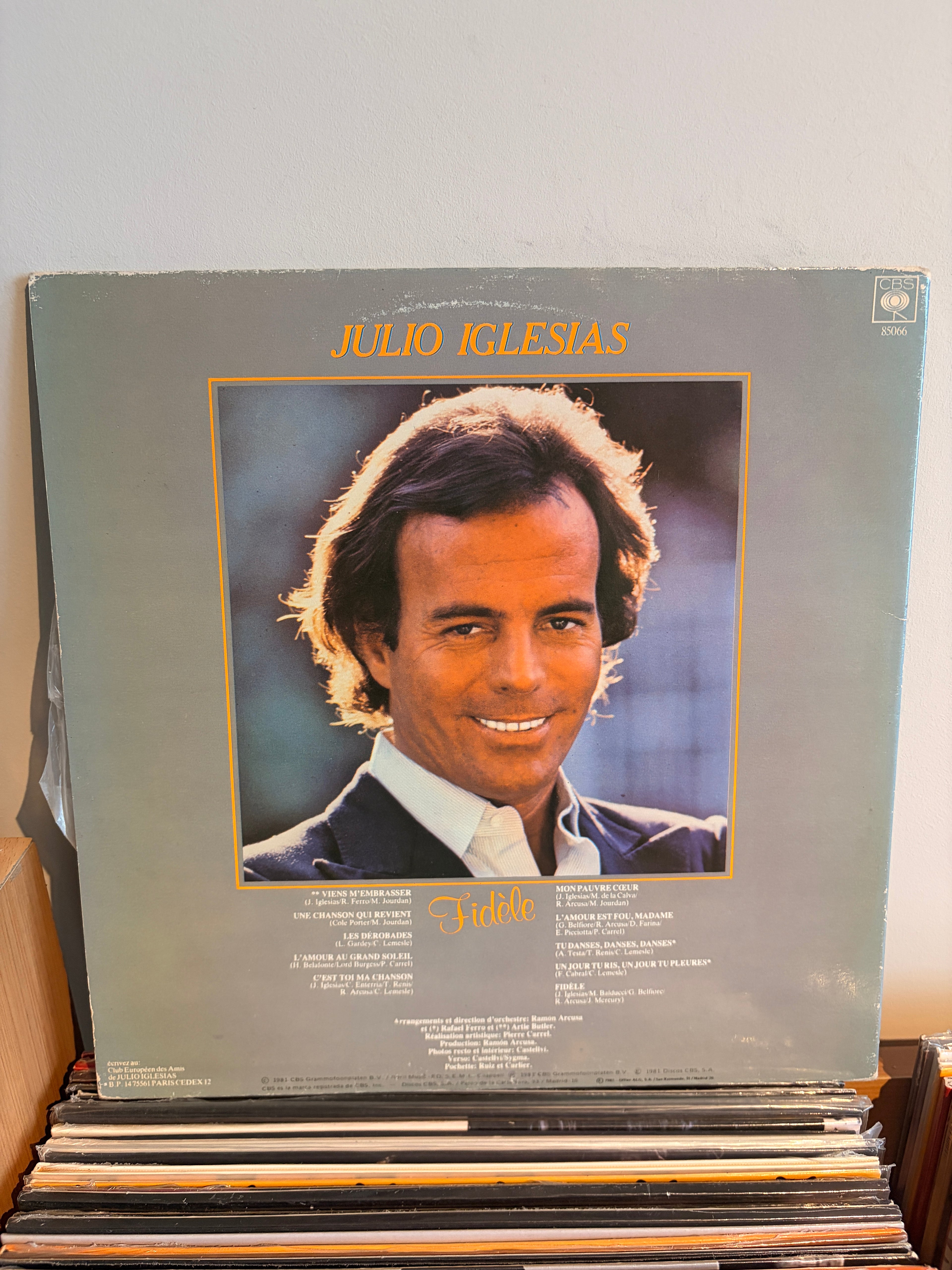 JULIO IGLESIAS Canta en frances Fidèle